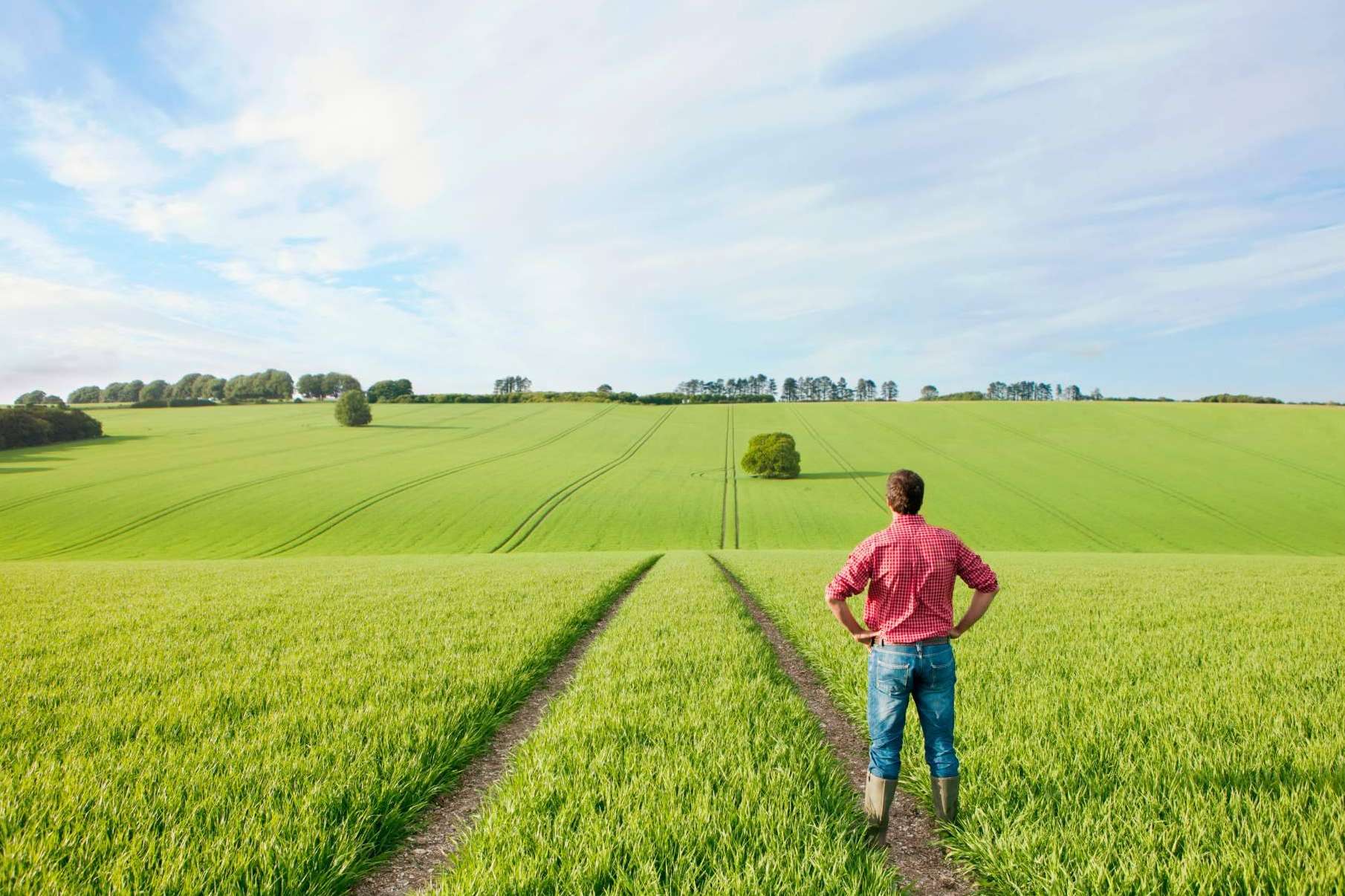 Fitovademécum, una plataforma de interés para el sector agrícola de la consultora de inteligencia competitiva Imeanticipa