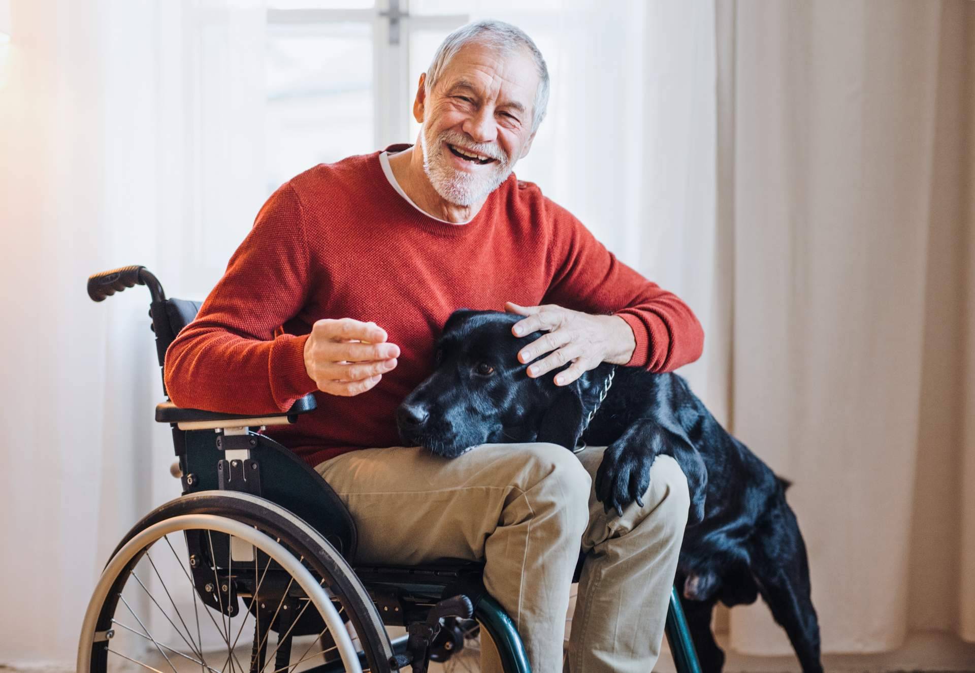 Todo lo que ofrece EQUIMED, empresa de equipamiento de silla de ruedas