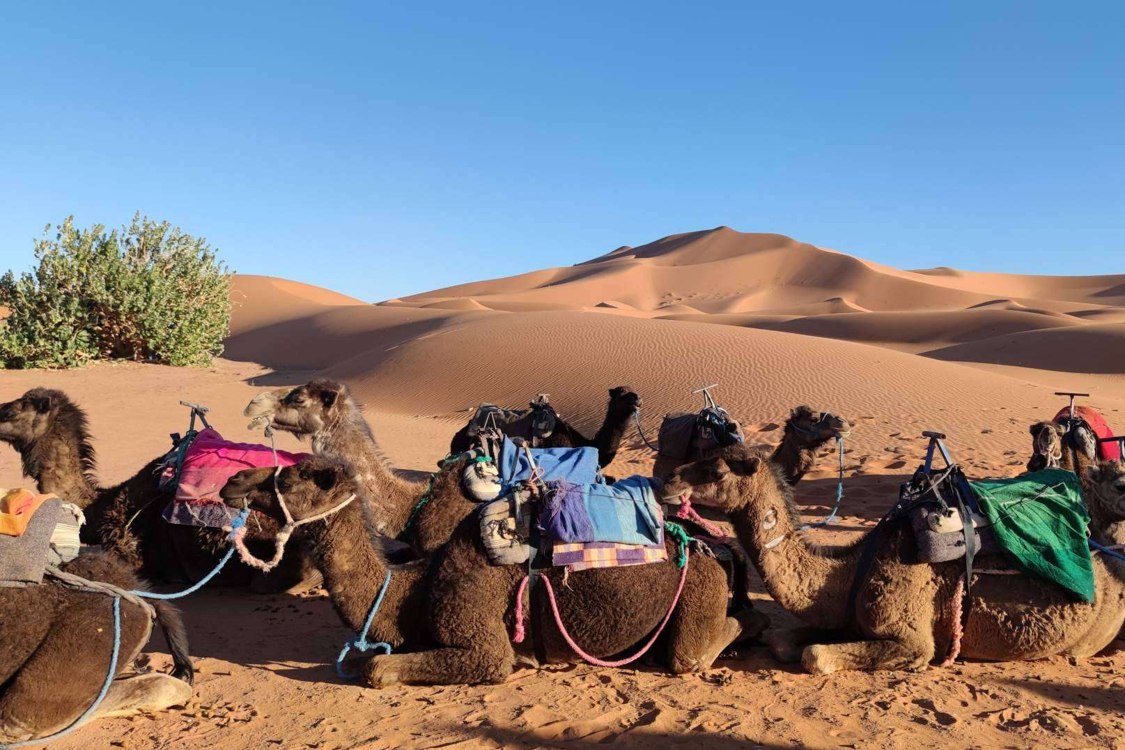 Meditar en el desierto de Merzouga con eeMindful