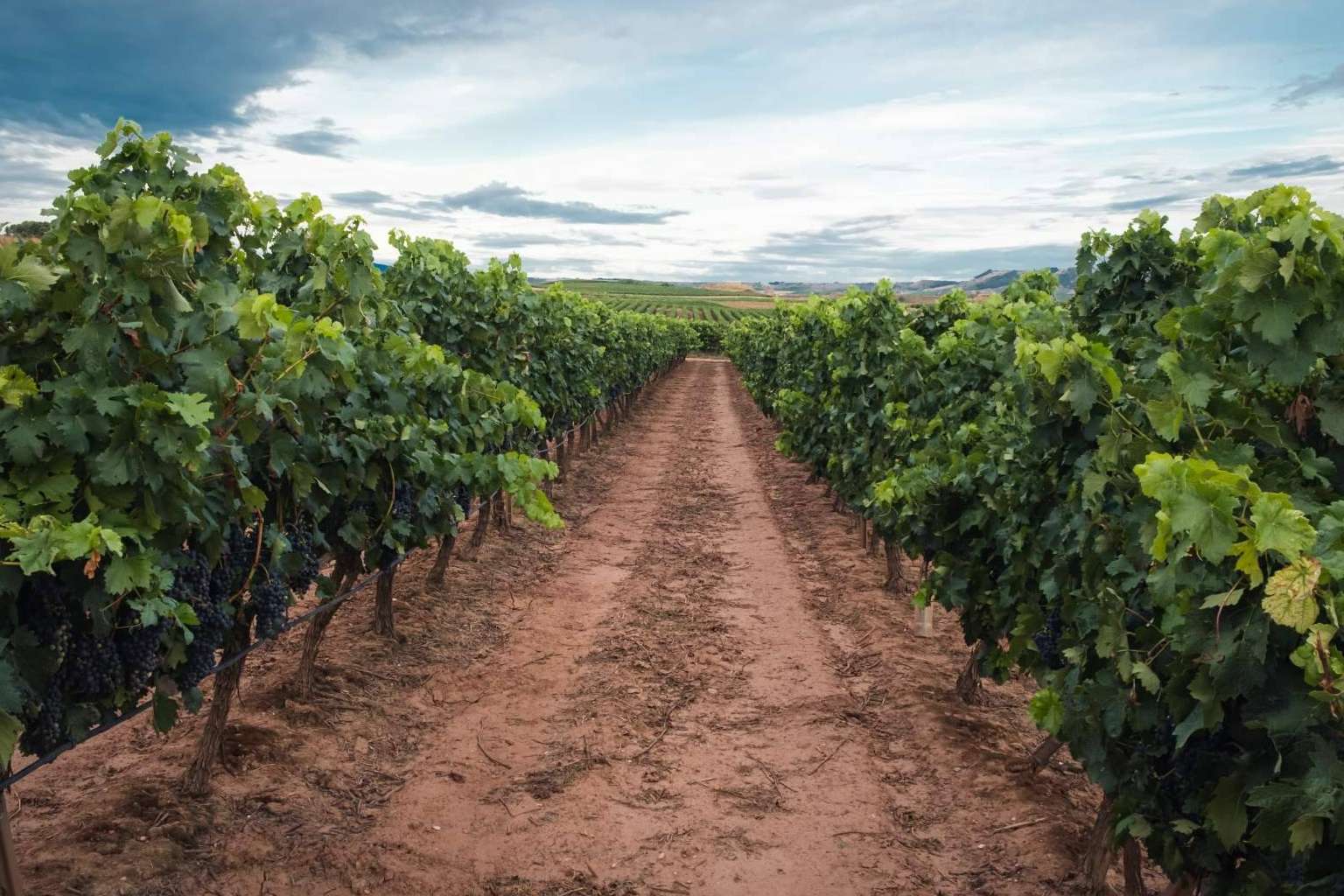 10 trámites que se deben conocer si se tiene una finca o terreno