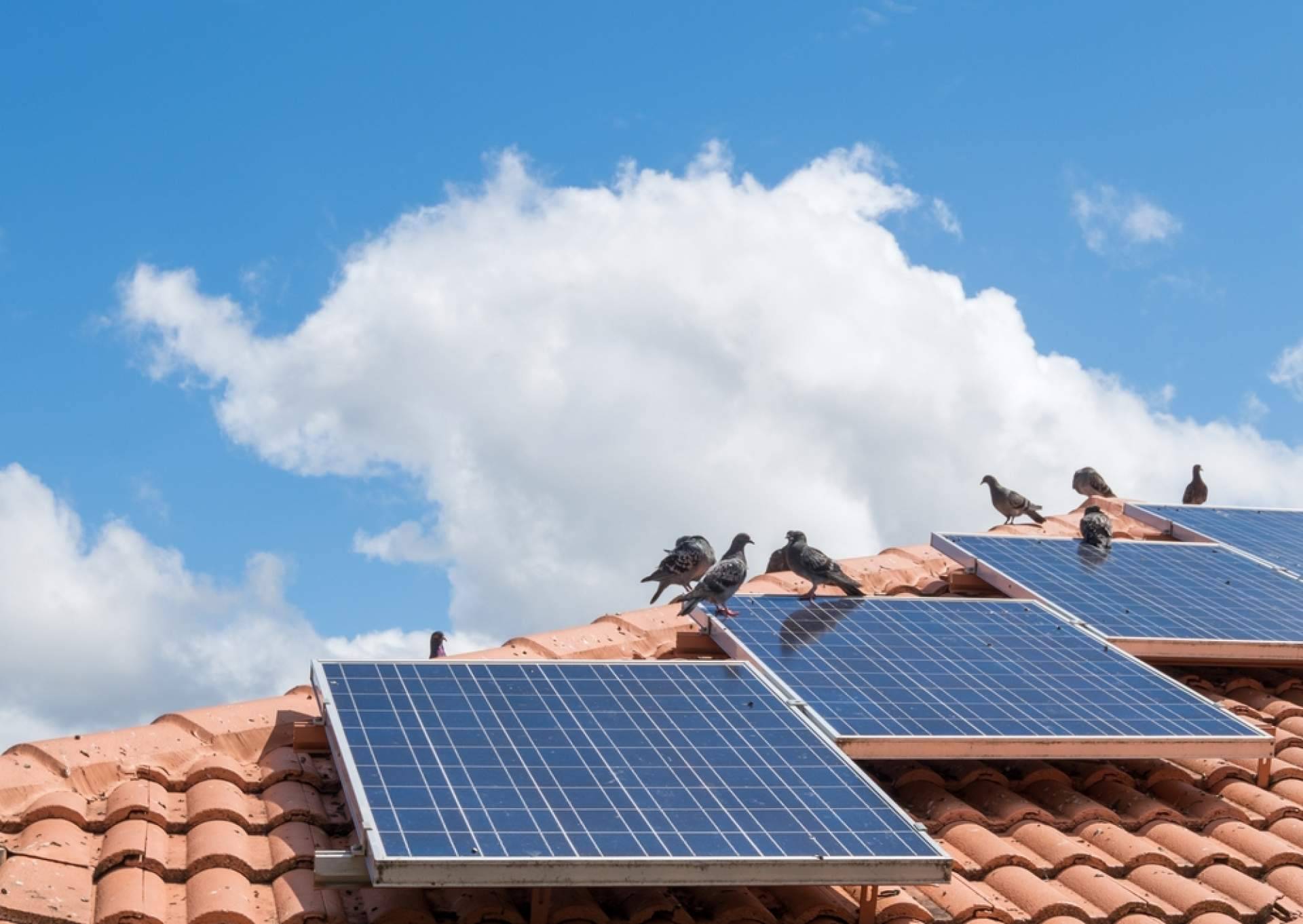 Inver Finex ofrece la opción de alquilar placas solares fotovoltaicas