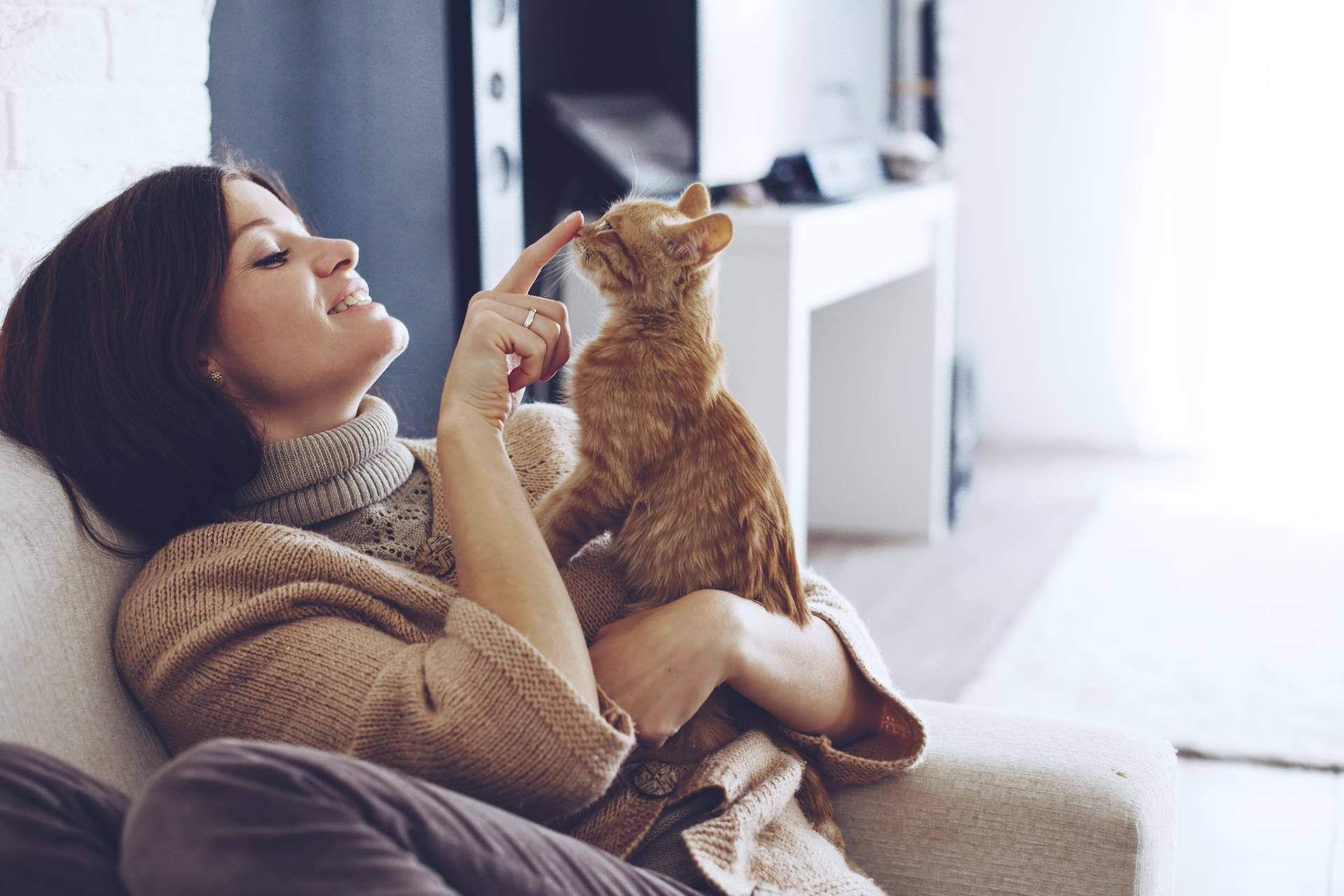 Can Xana, la tienda de productos para mascotas, presenta su nueva página web