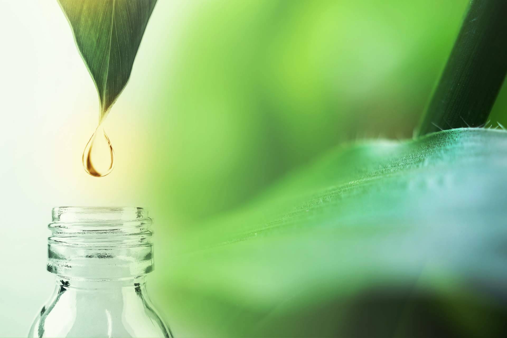 Herbaclock, el herbolario online donde encontrar todo tipo de vitaminas y minerales