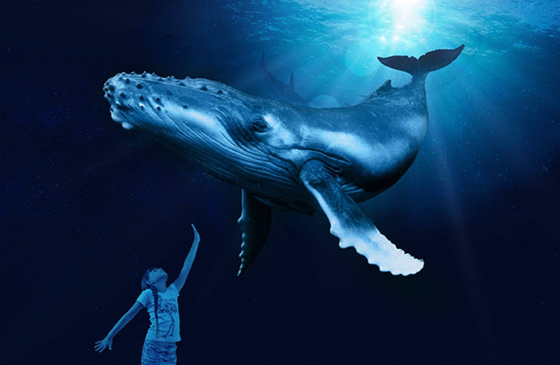 Organizar un día diferente en Mallorca, con la experiencia Palma Aquarium