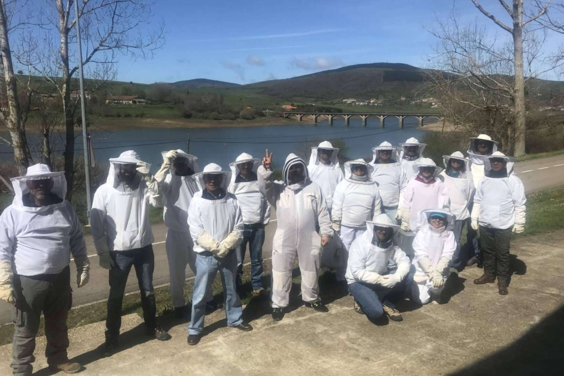 Apiterapia con apitoxina, con Cursos Apicultura