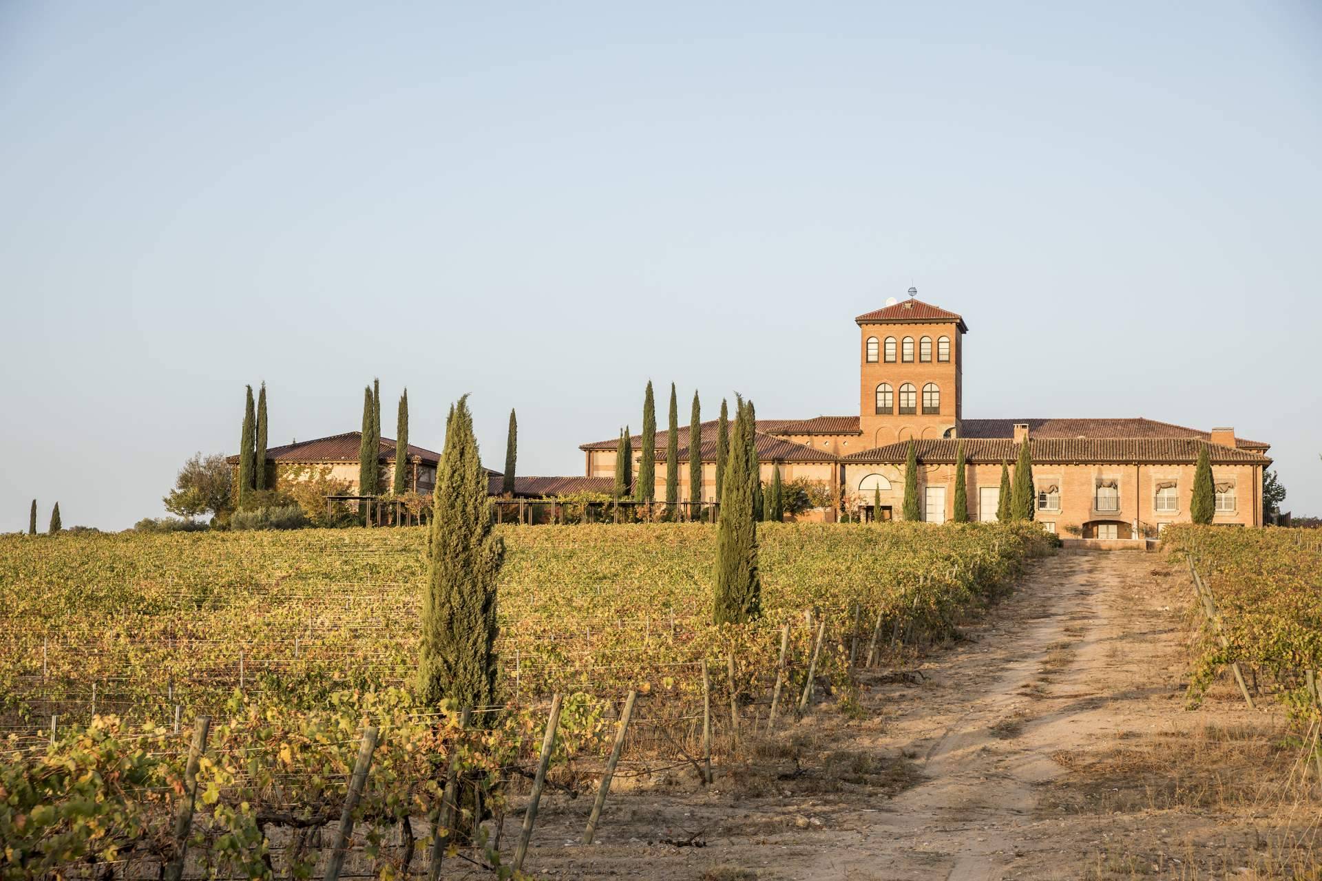 Hacienda Zorita, el vino de lujo de los Arribes del Duero, llega a Salamanca en exclusiva con Comercial de Vinos Acera