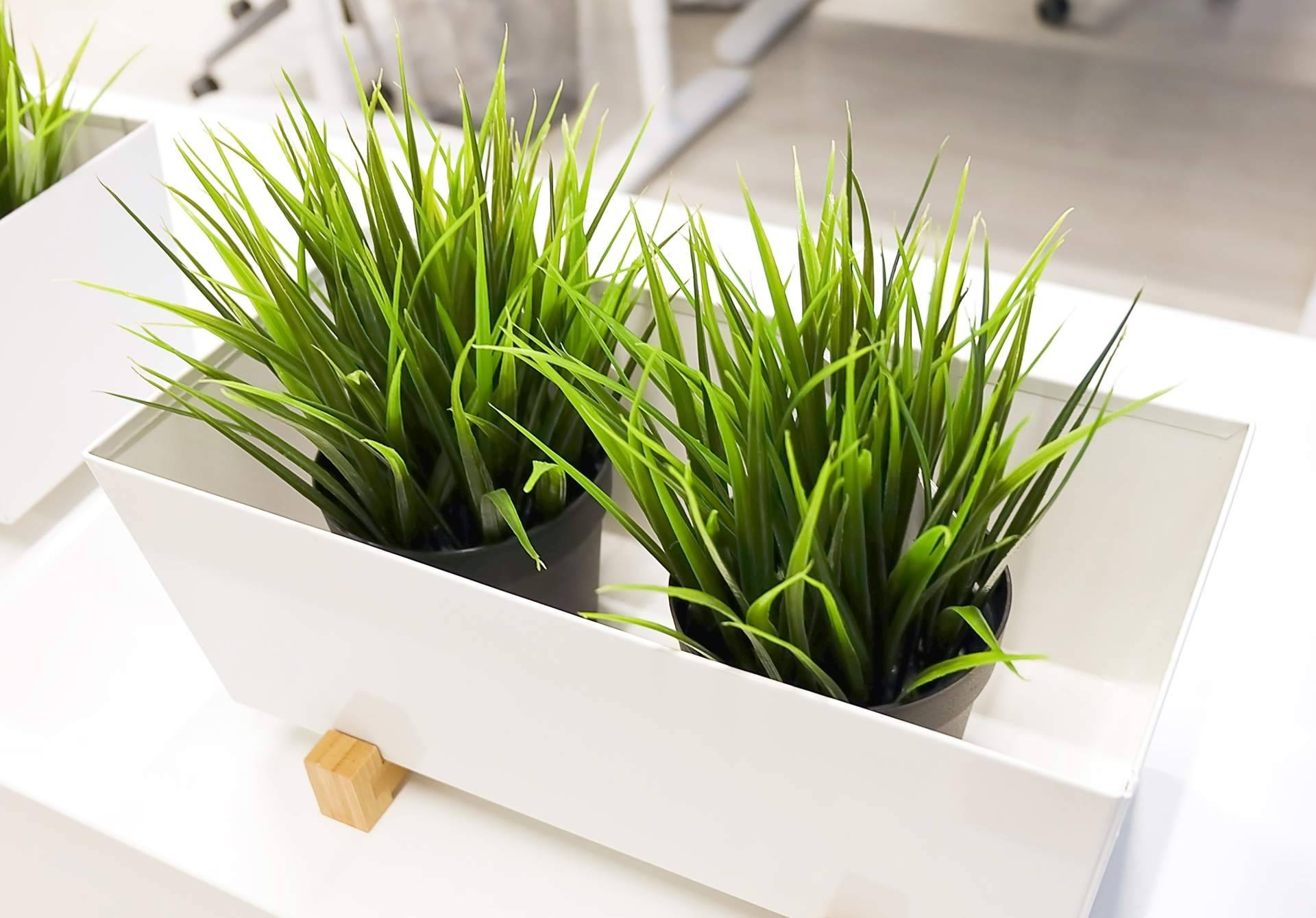 JardínVertical.es y su catálogo con más de 20 opciones en plantas artificiales realistas