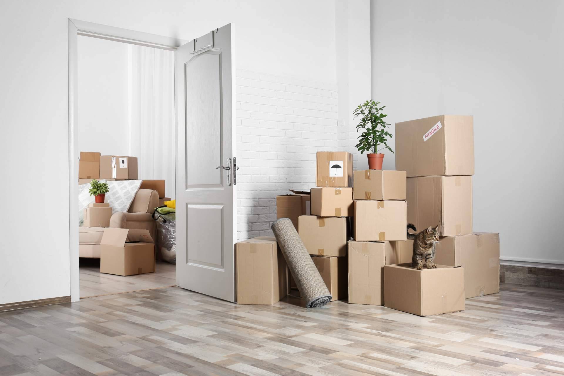 La empresa Redmoving y sus servicios de mudanzas a Alemania