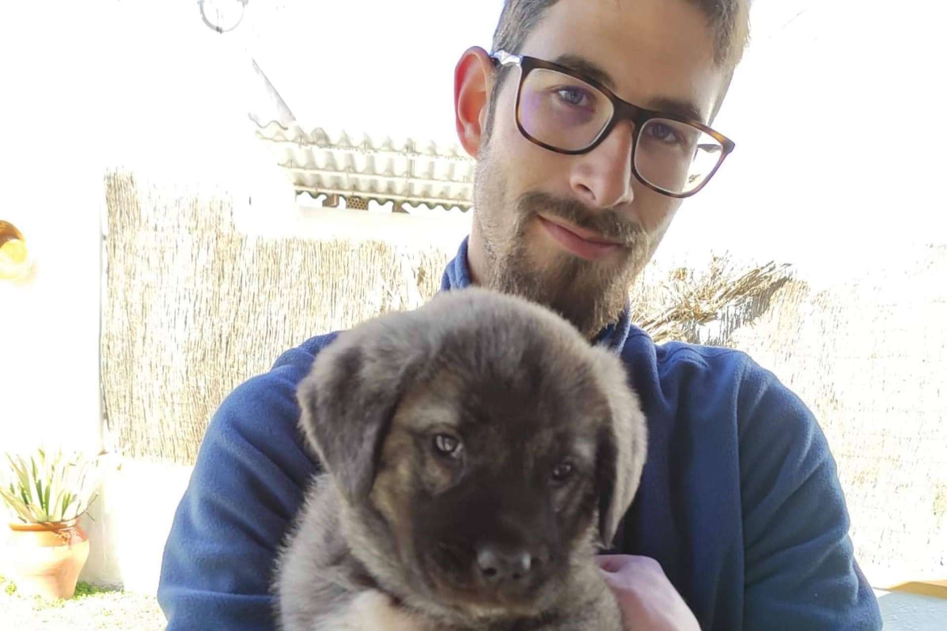 Emprender en el mundo canino digital, transformar el amor por los perros en una fuente de alegría y ganancias gracias a Libertad 365 Días