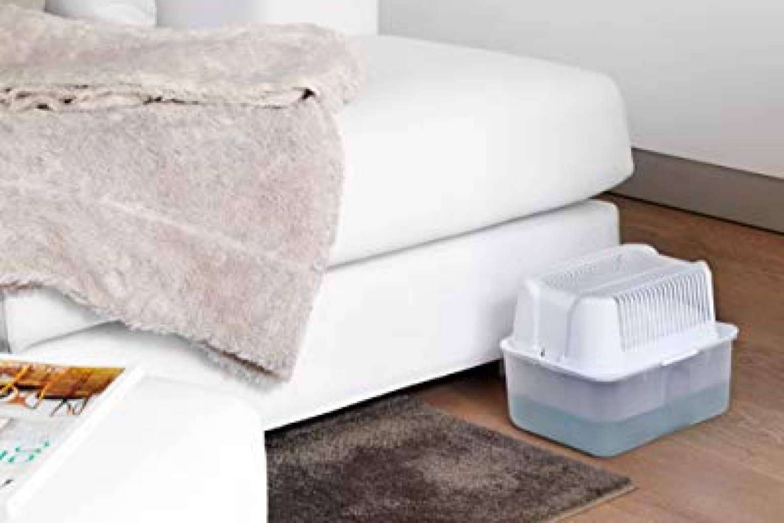 ¿Cómo se solucionan los problemas de humedad en casa con Humydry?