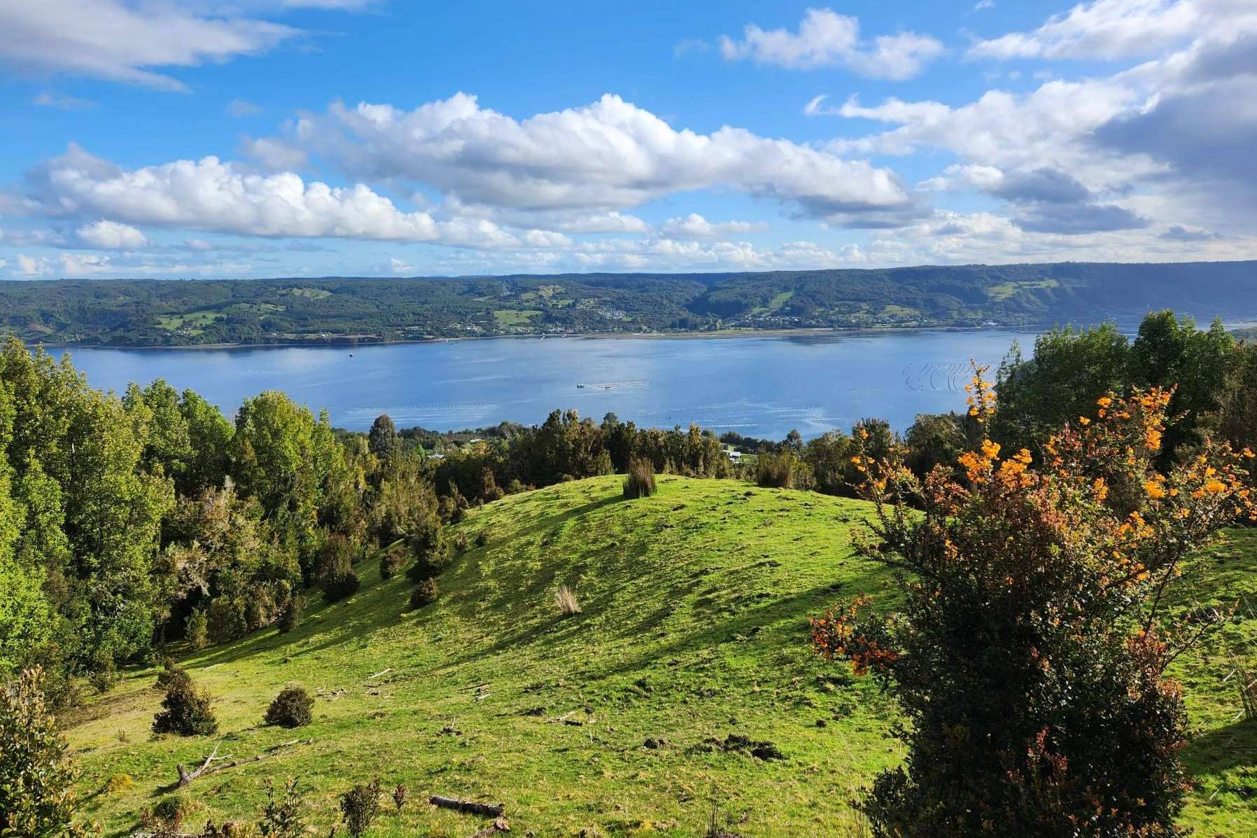Latitudes Australes ofrece lugares fascinantes en Chiloé para invertir en una parcela
