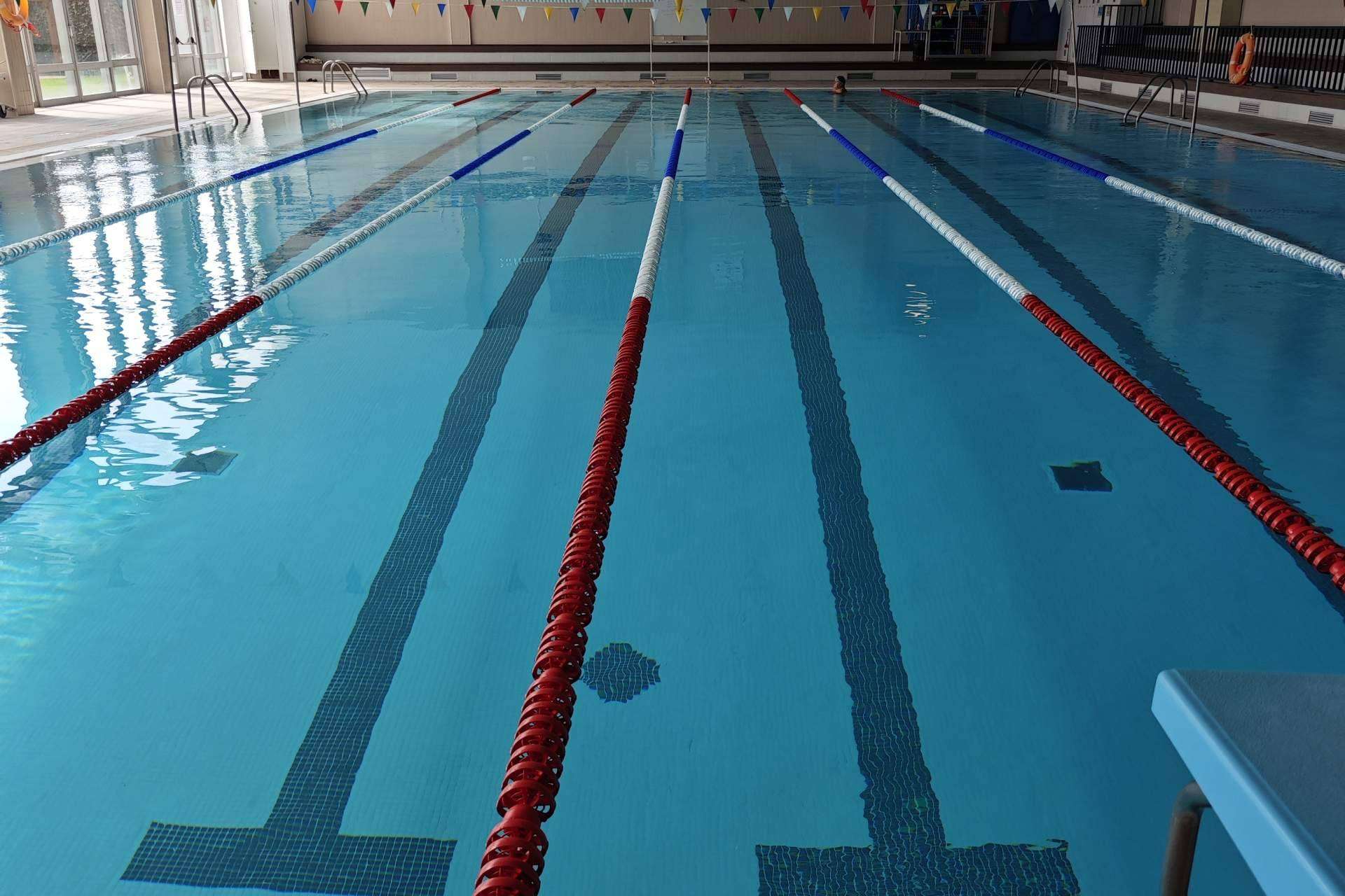 Pool Tiger Europe proporciona accesorios para la industria de piscinas