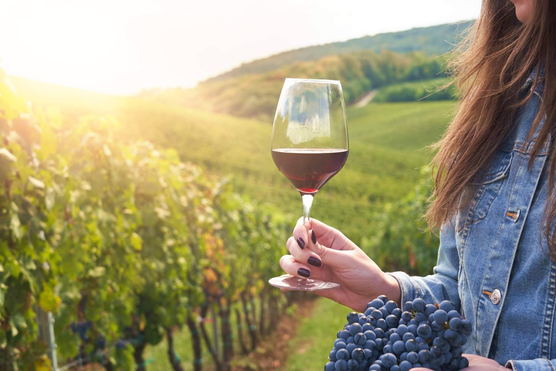 Naturelovers Wines y sus cavas y vinos ecológicos