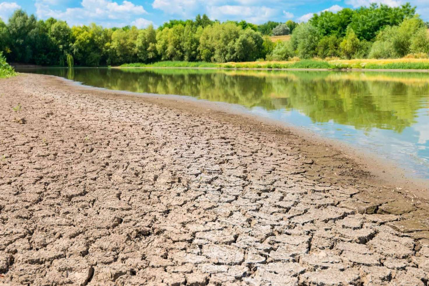 Sistemas de tratamiento de aguas pluviales con las que cuenta Pluvial