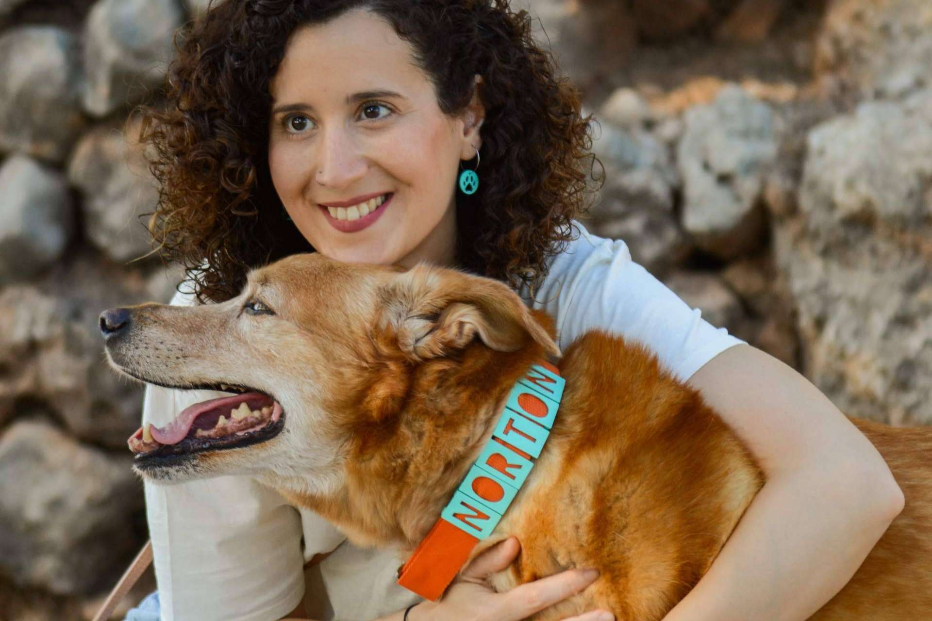 Seron Estilo y los collares perros personalizados