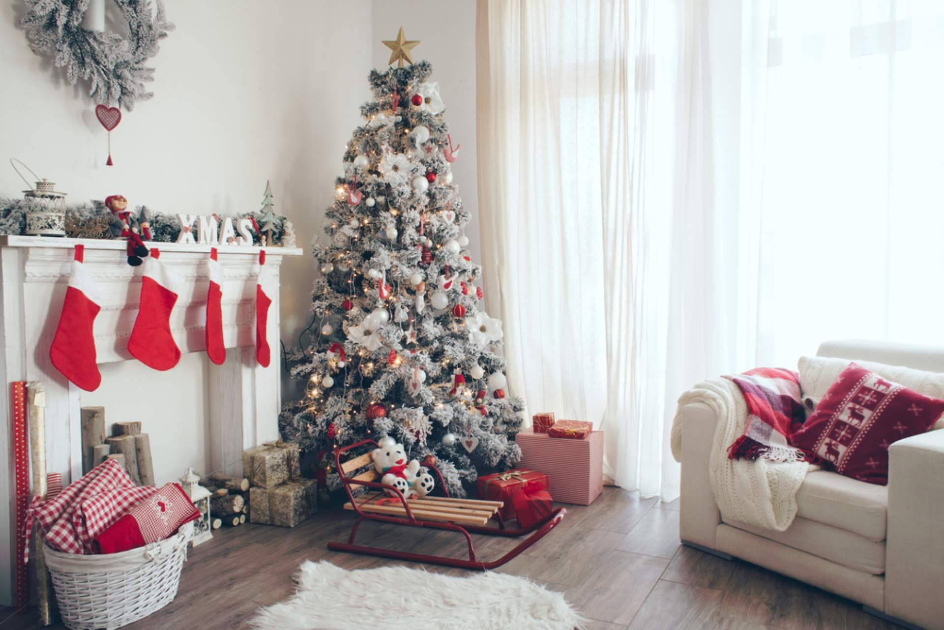 Navet facilita la compra de árboles de Navidad sostenibles