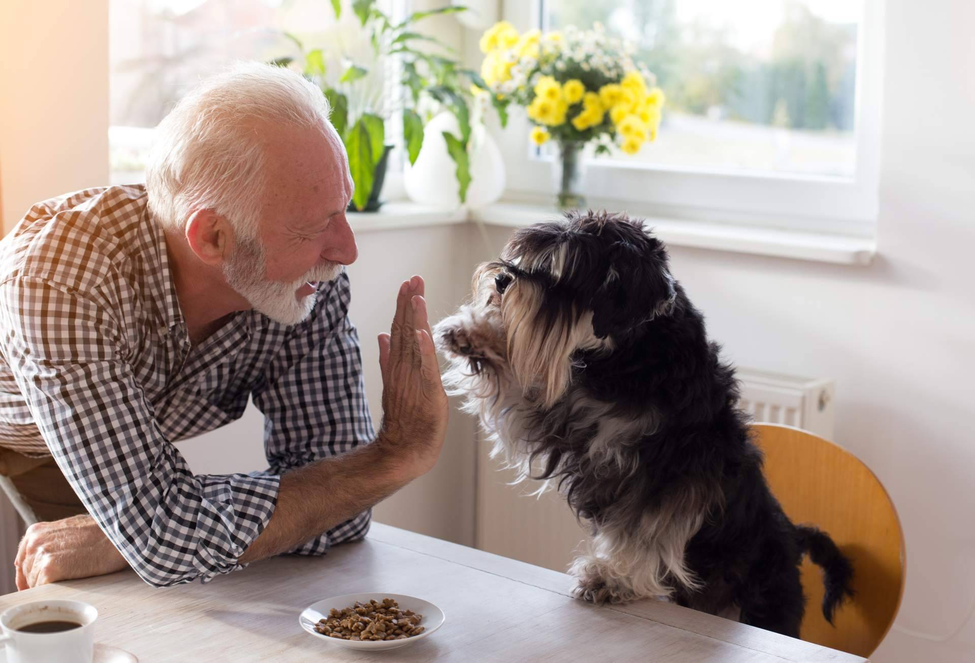 Snack para perros de Era Pet Food