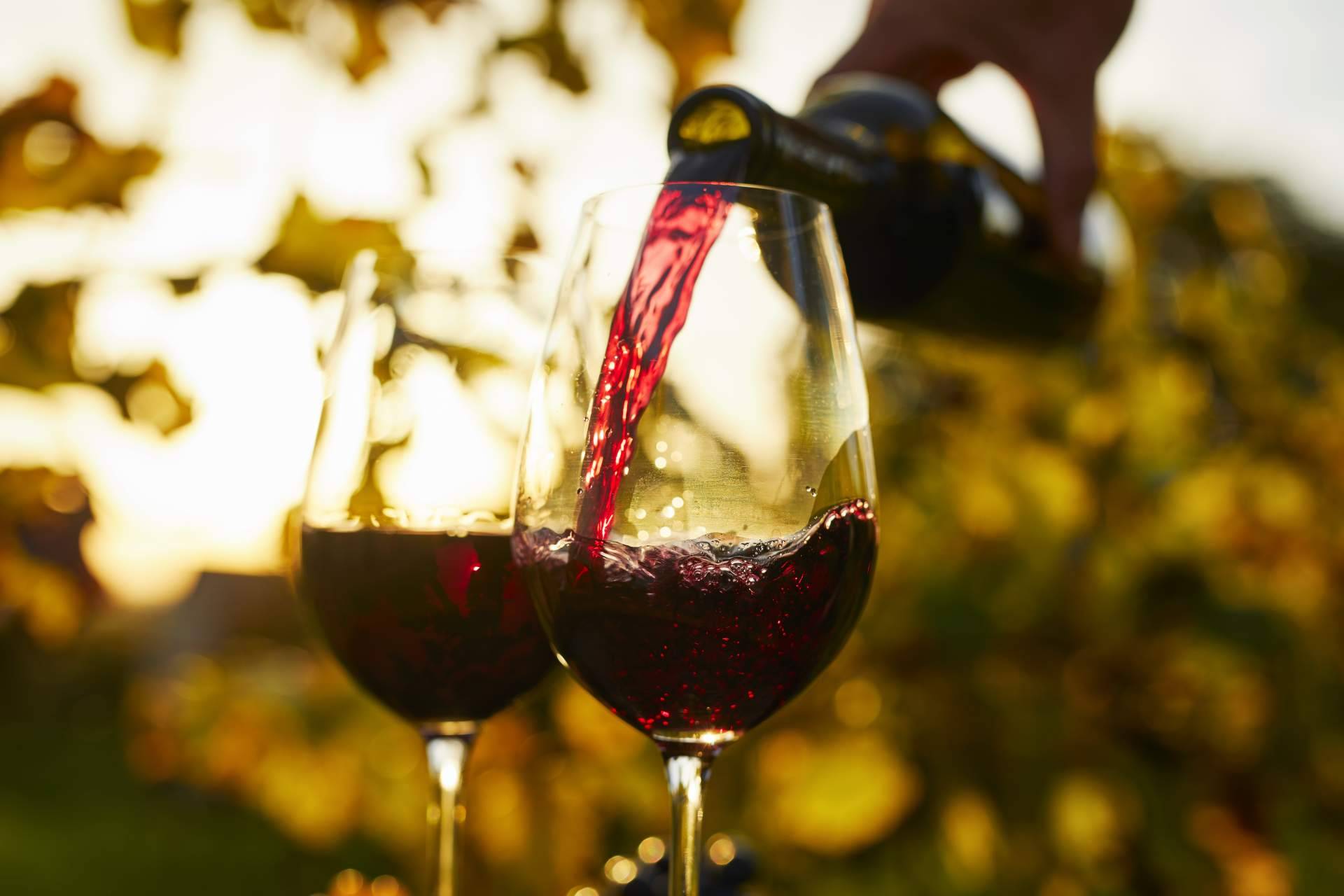 El hotel Terra Dominicata destaca por su propuesta de cata de vino