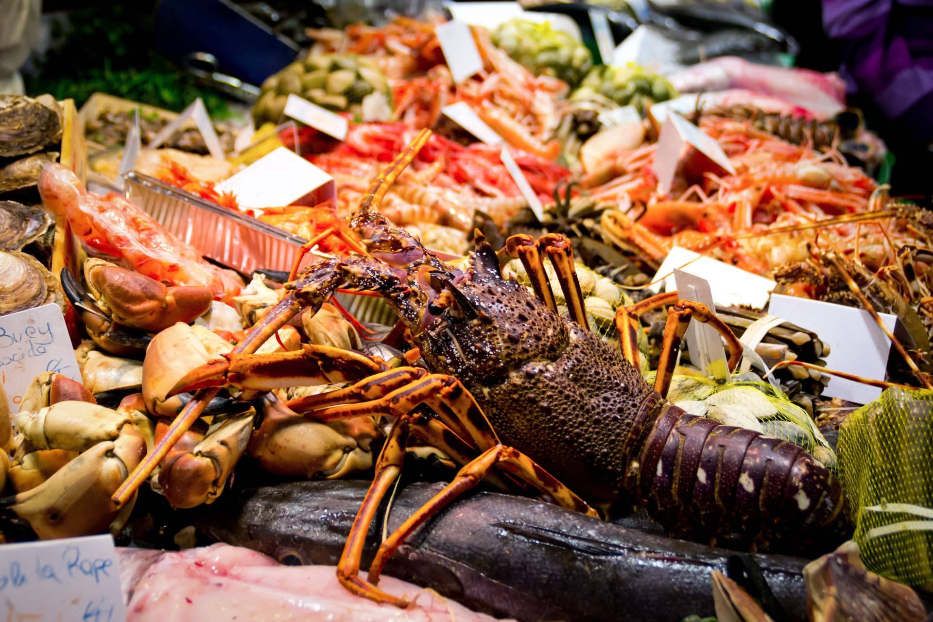 Pescadería Younes Ceuta, expertos en pescados y mariscos