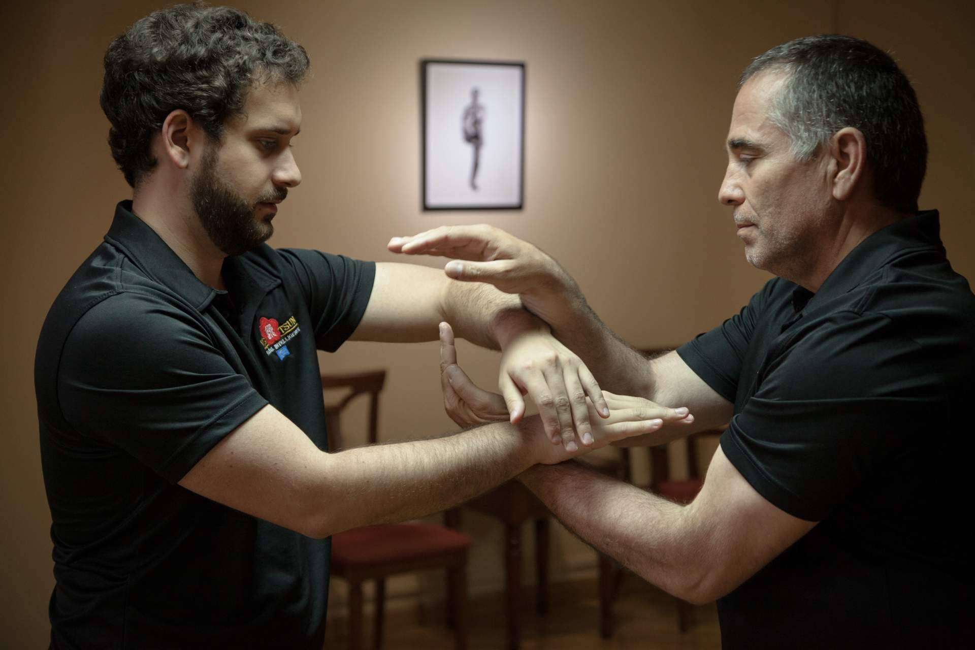 Acceso al Sistema Ving Tsun con Moy Yat Ving Tsun Martial Intelligence