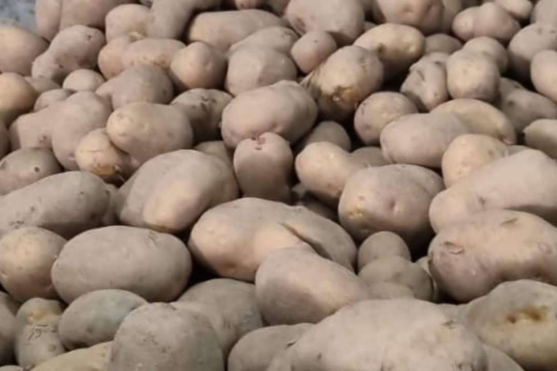 Patatas Yago permite disfrutar de las patatas gallegas en Barcelona