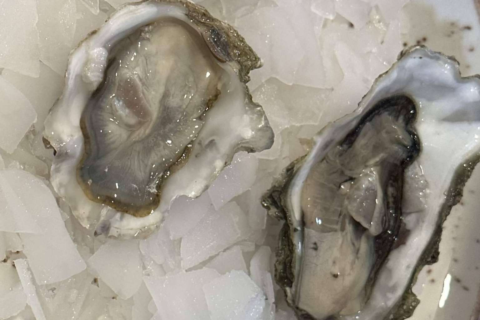 La experiencia gastronómica mediterránea en la marisquería Rías Baixas Pulpería