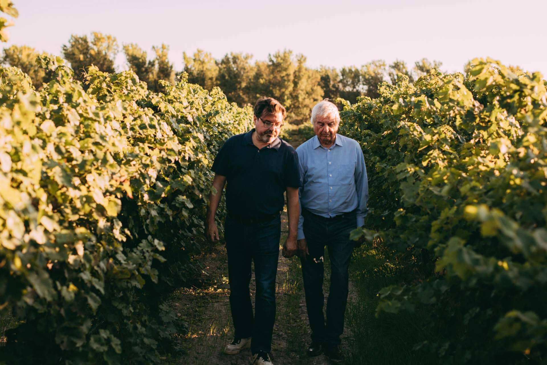 Bodegas Vegalfaro aporta una personalidad única a sus vinos con el cultivo ecológico