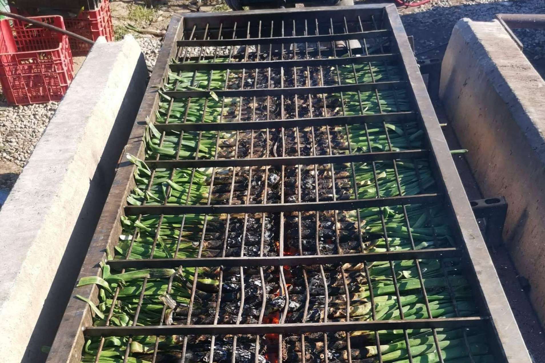 Calçots de cosecha propia en Cal Delaida