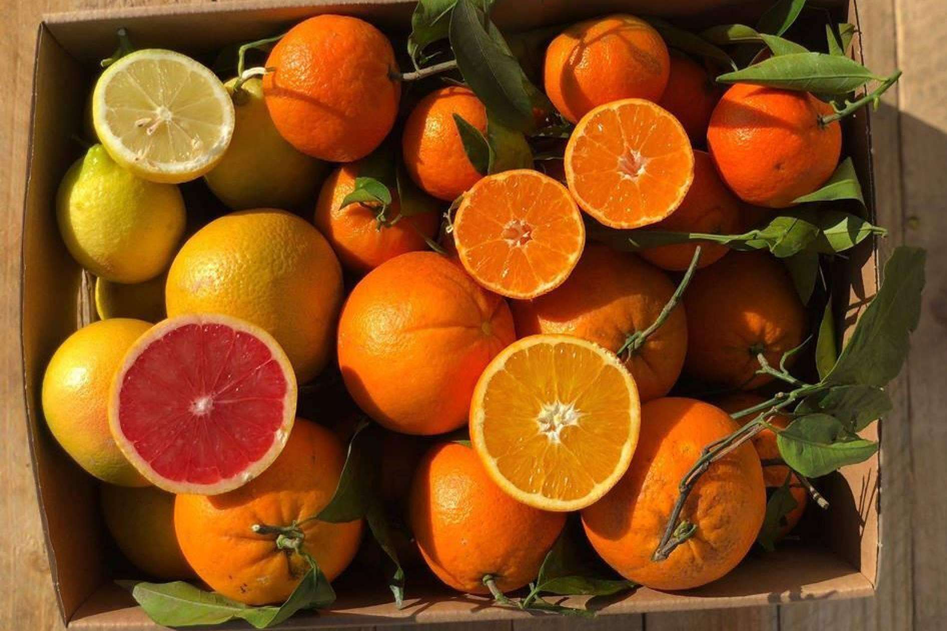 Adquirir verduras online en cualquier momento y desde cualquier lugar, de la mano de Disfruta y Verdura