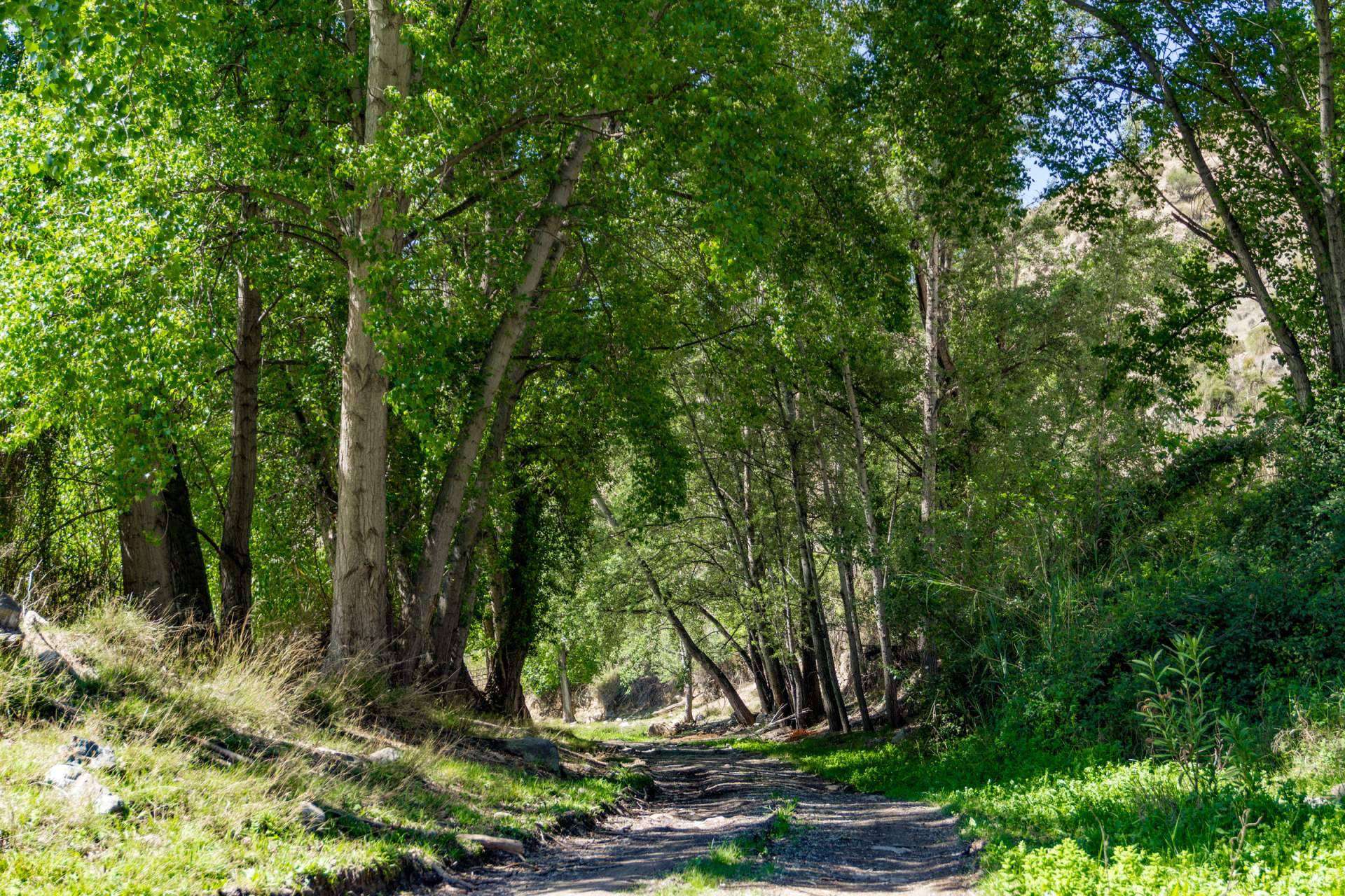 Turismo rural en el Valle del Almanzora (Almería), una experiencia llena de cultura y naturaleza