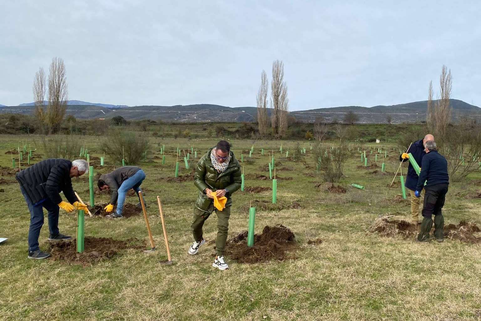Foxy y Fundación Alcoraz; nuevo bosque en Torremocha de Jarama