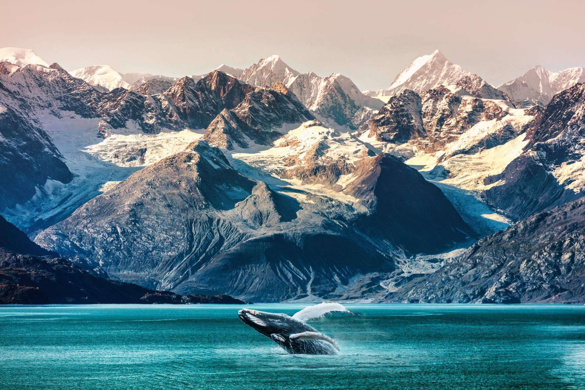 La nueva colección de viajes 2025 de Oceania Cruises y su nuevo buque Allura
