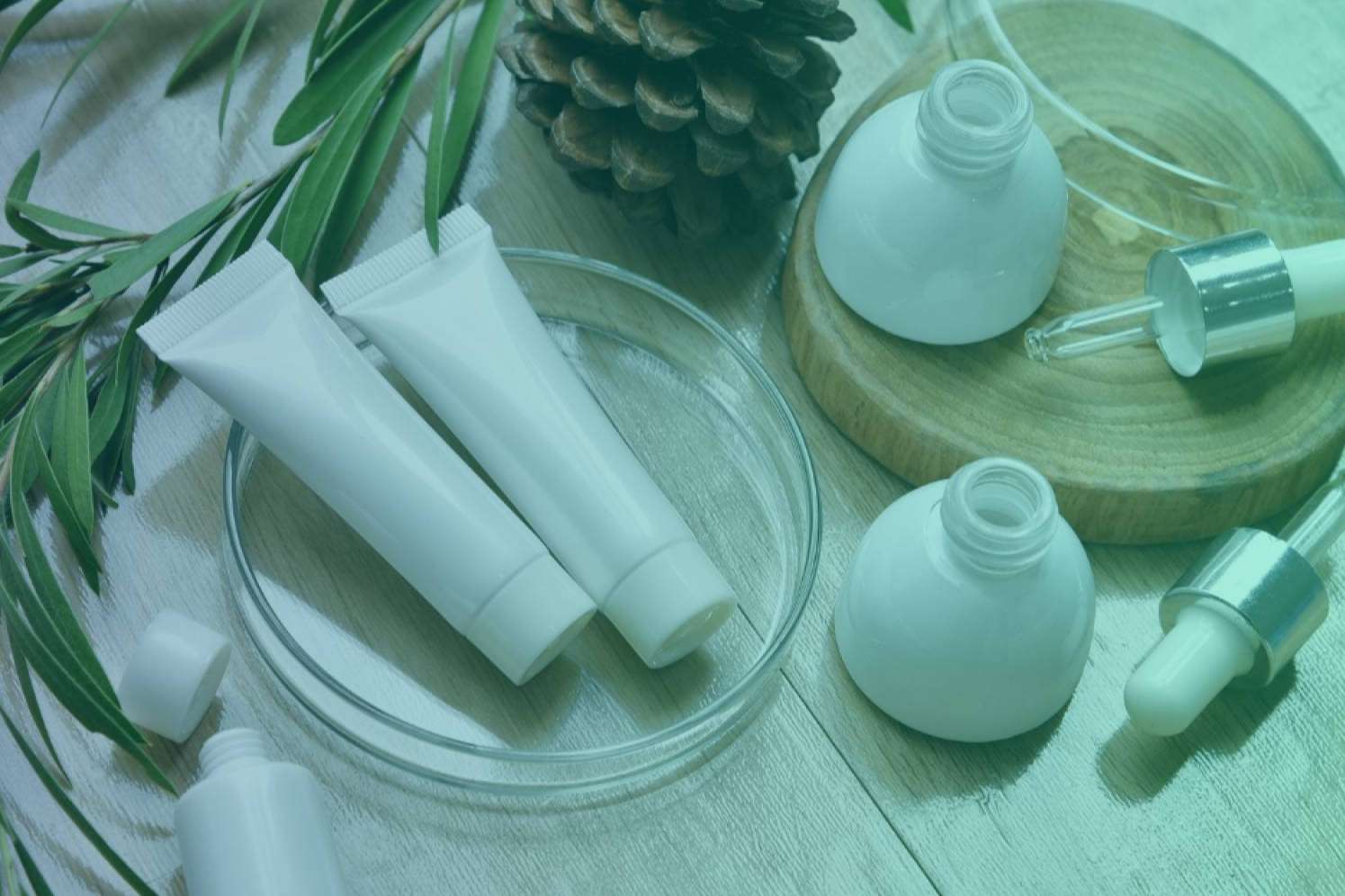 El nuevo gigante del cuidado personal y belleza; Amazon