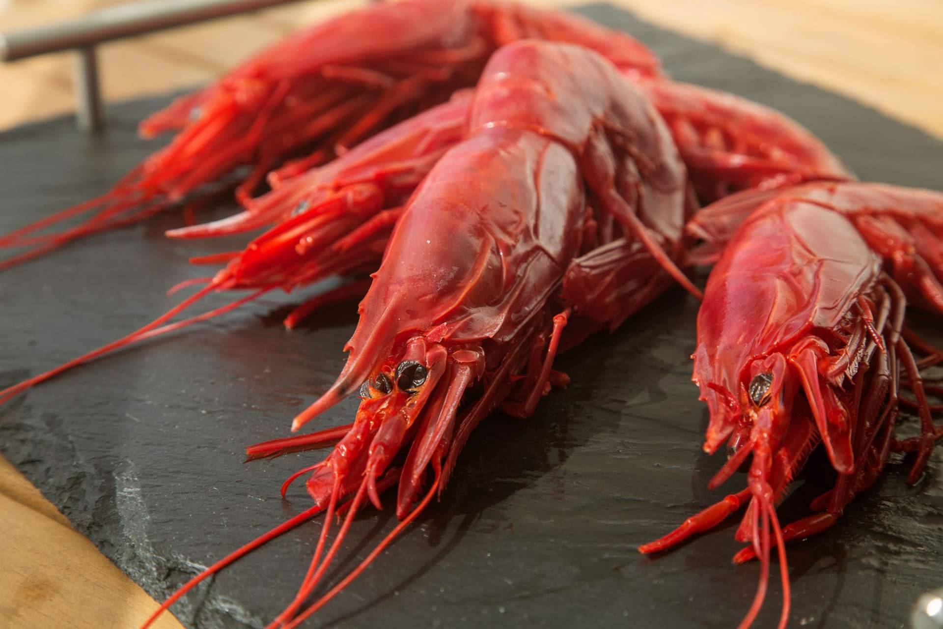 Desde Almería hasta Ayamonte, marisco fresco de calidad de la zona sur de España