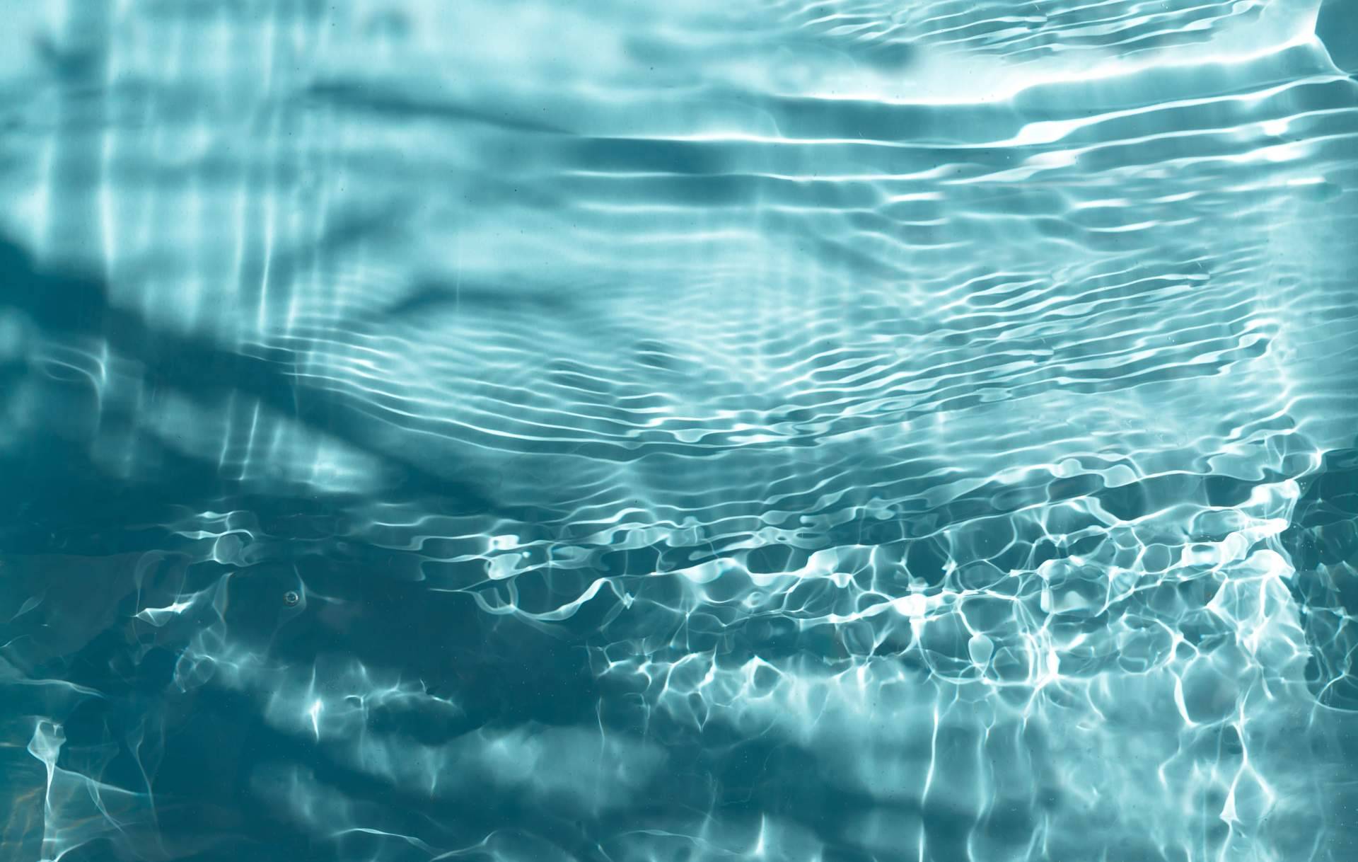 TNA revoluciona el tratamiento del agua con soluciones naturales y sostenibles