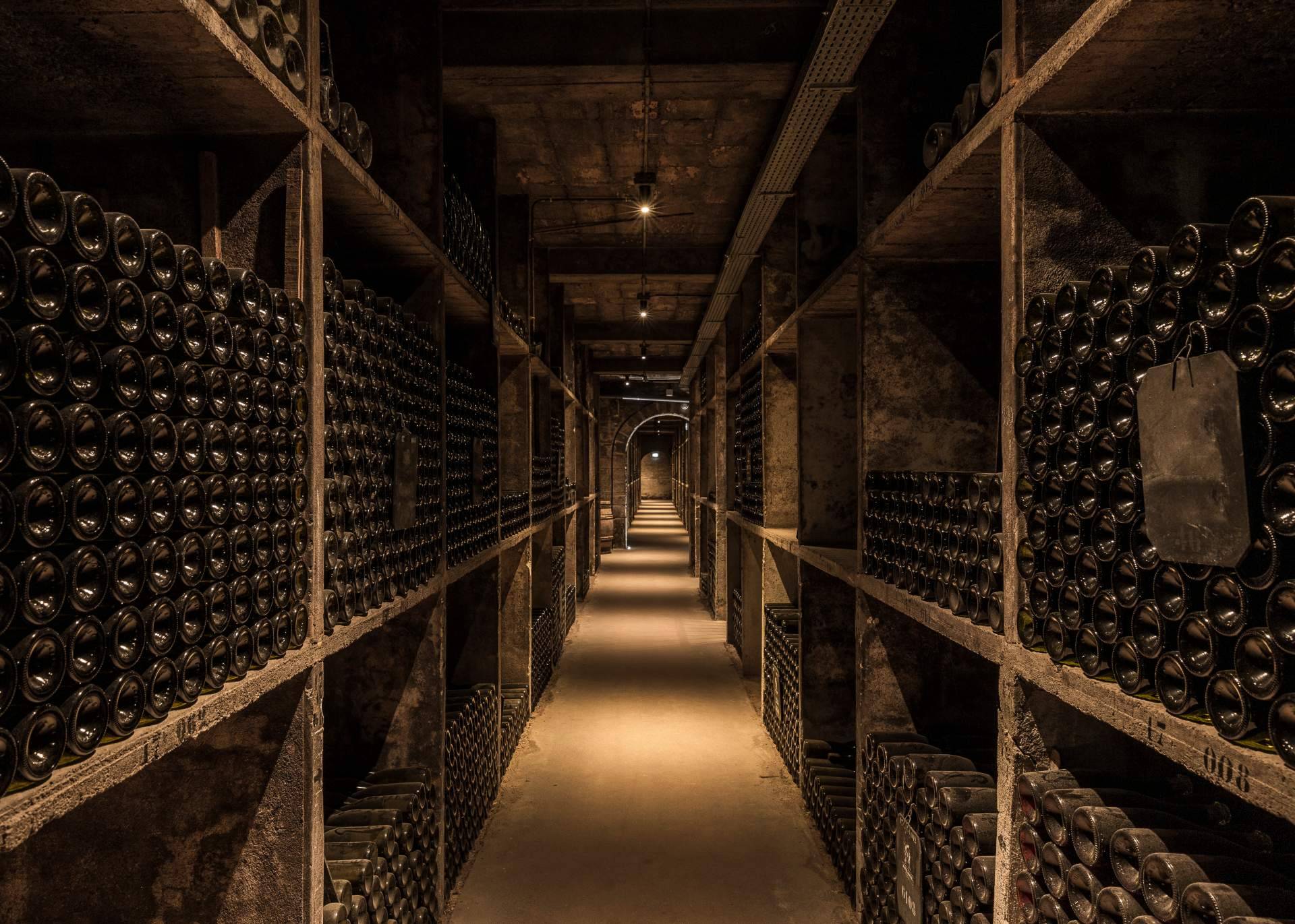 Cavas y vinos elaborados de forma artesanal, de la mano de Naturalovers Wine