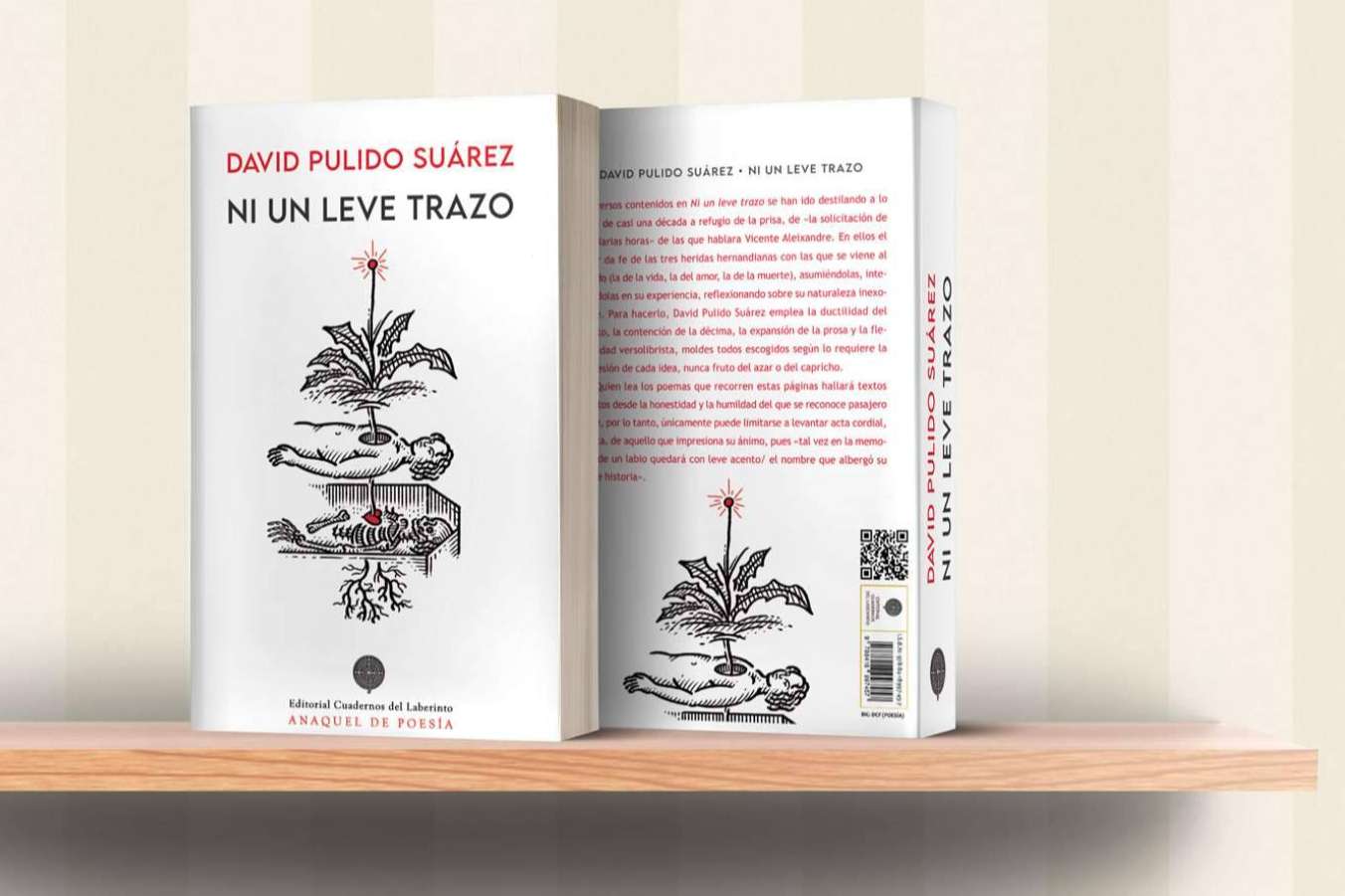 El poeta canario David Pulido sorprende con su nuevo libro ‘Ni un leve trazo’, literatura de altura