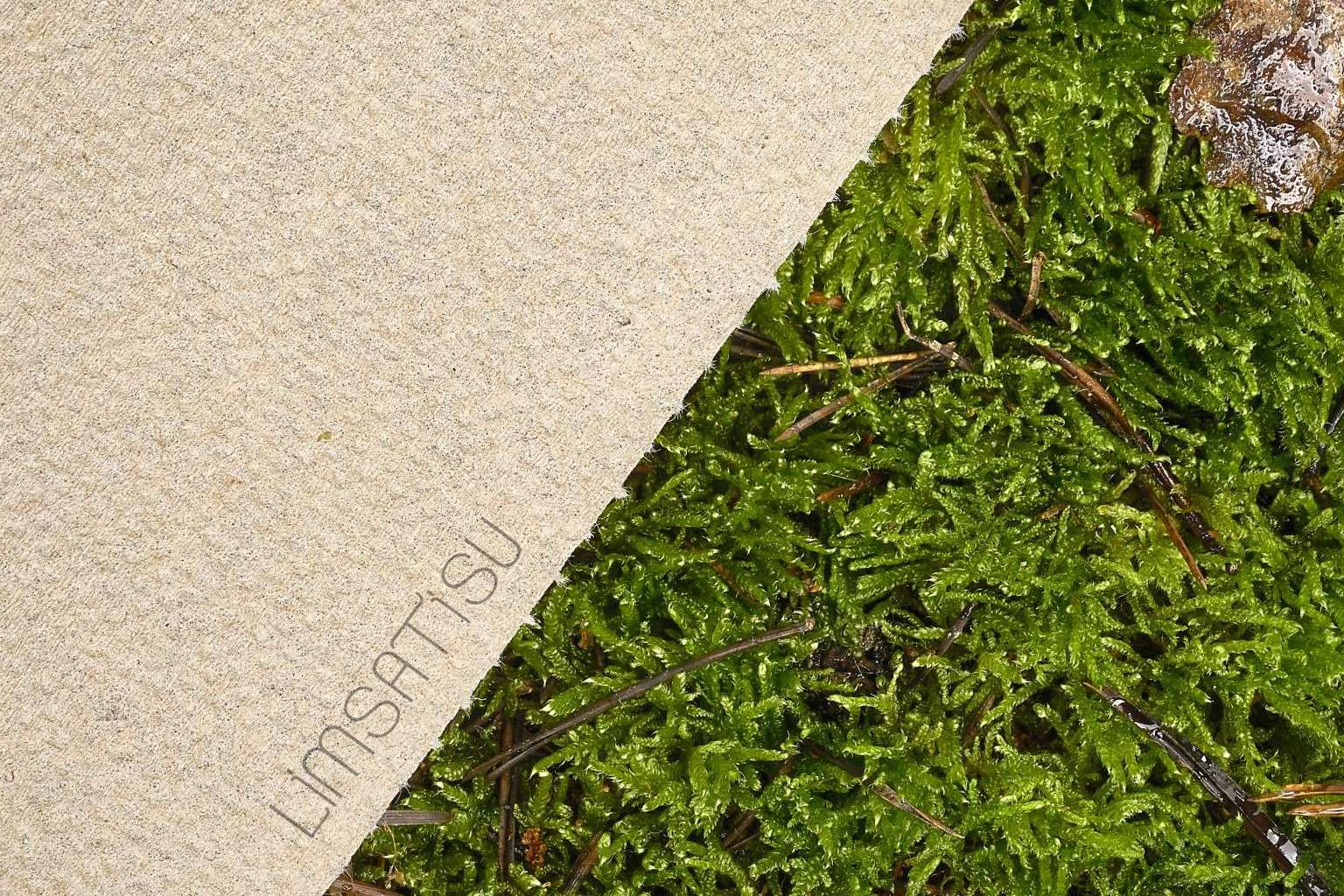 Limsatisu, una empresa con múltiples expertos en el sector papelero