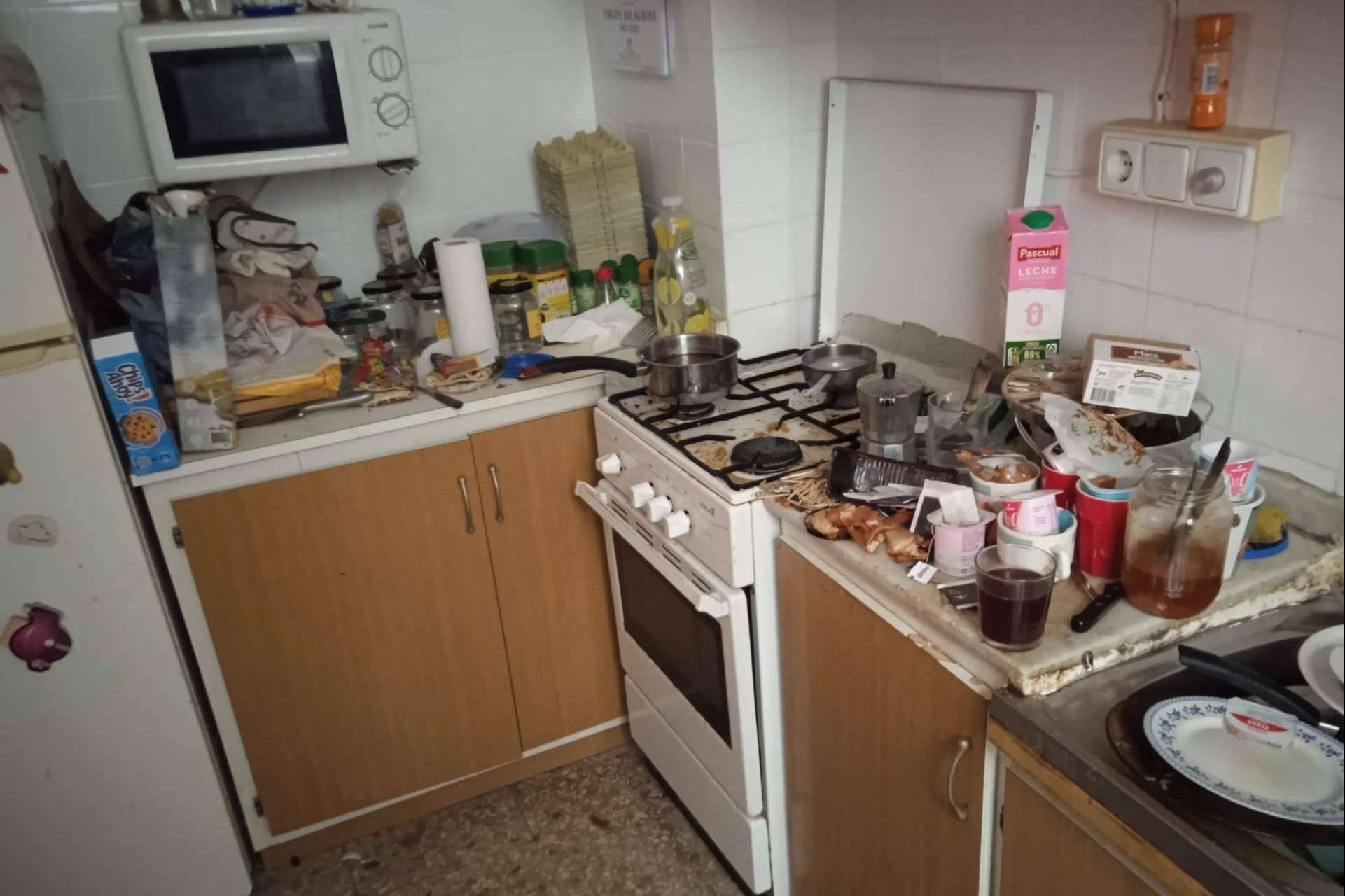 Cero miedo ante cientos de kilos de basura;  el día a día de los limpiadores extremos