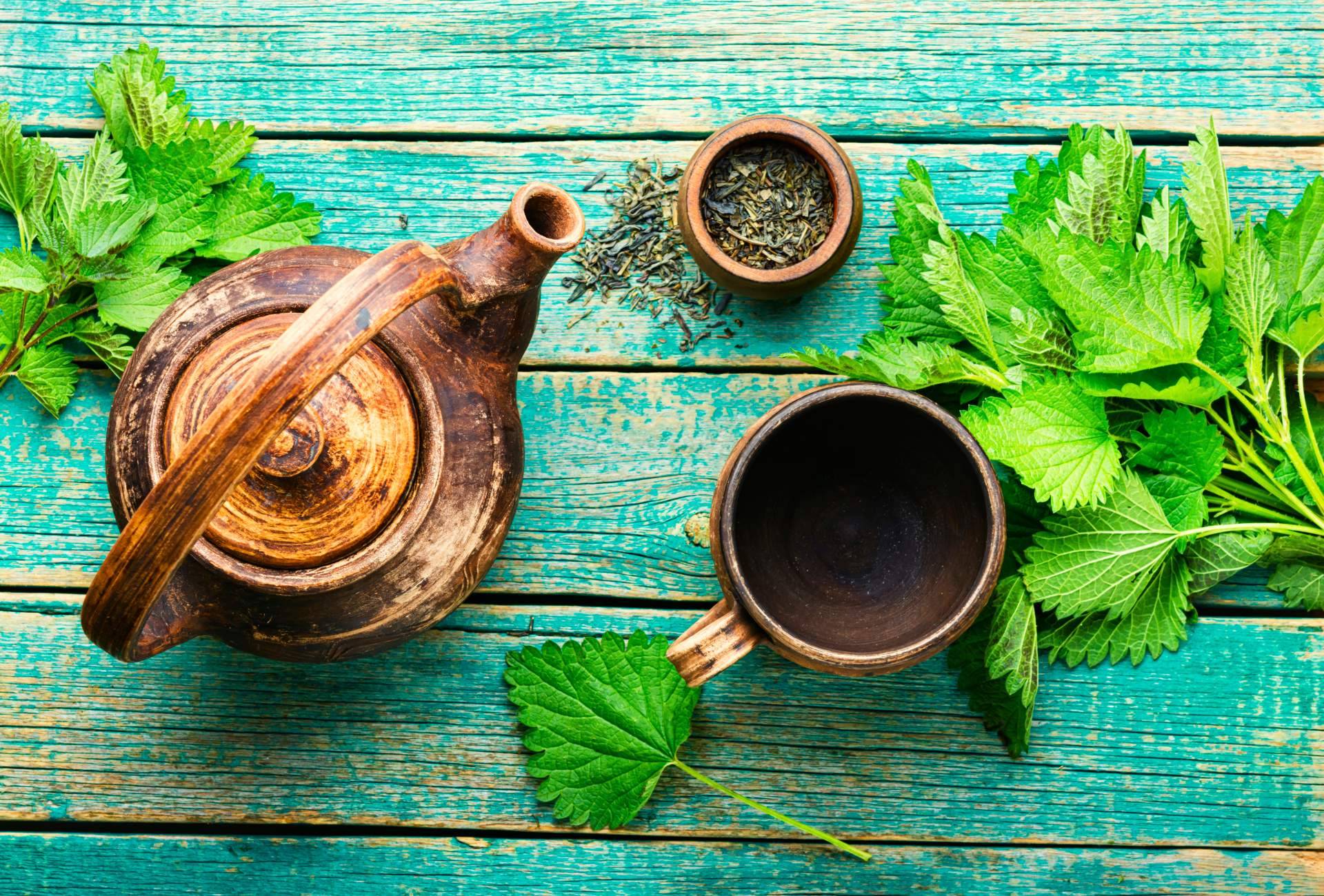 Sientea explica los beneficios del té verde ecológico