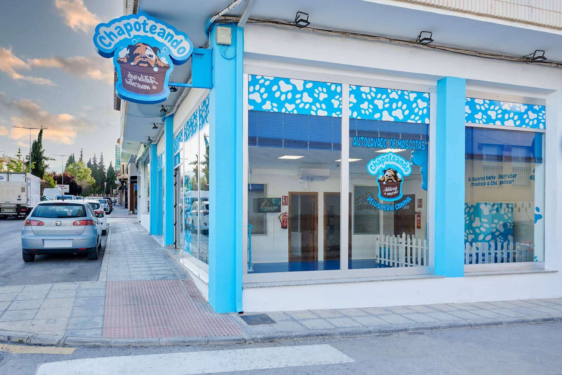 Los beneficios de las franquicias de peluquería canina de Chapoteando