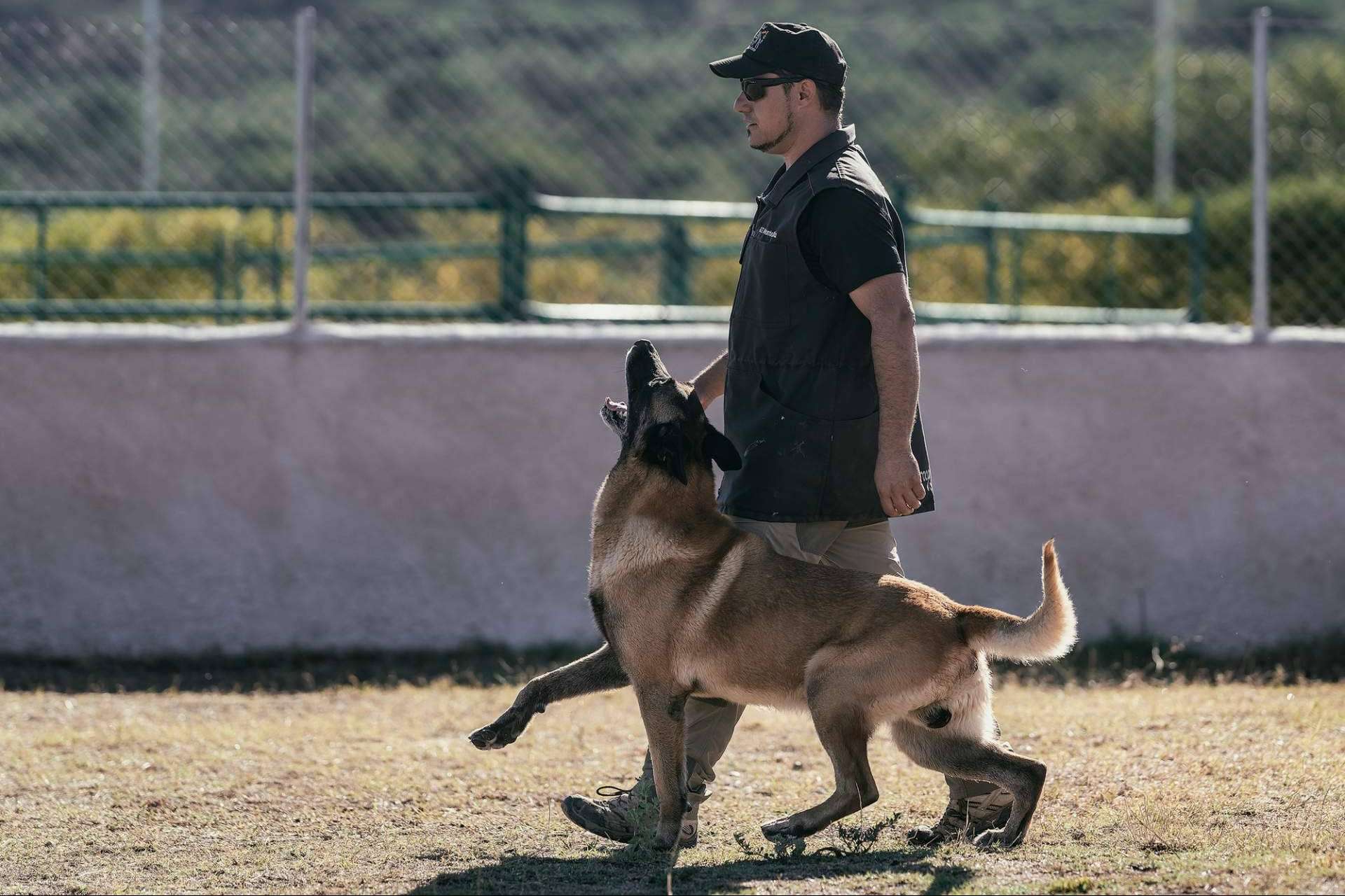Monte Ida ofrece un curso de adiestramiento canino