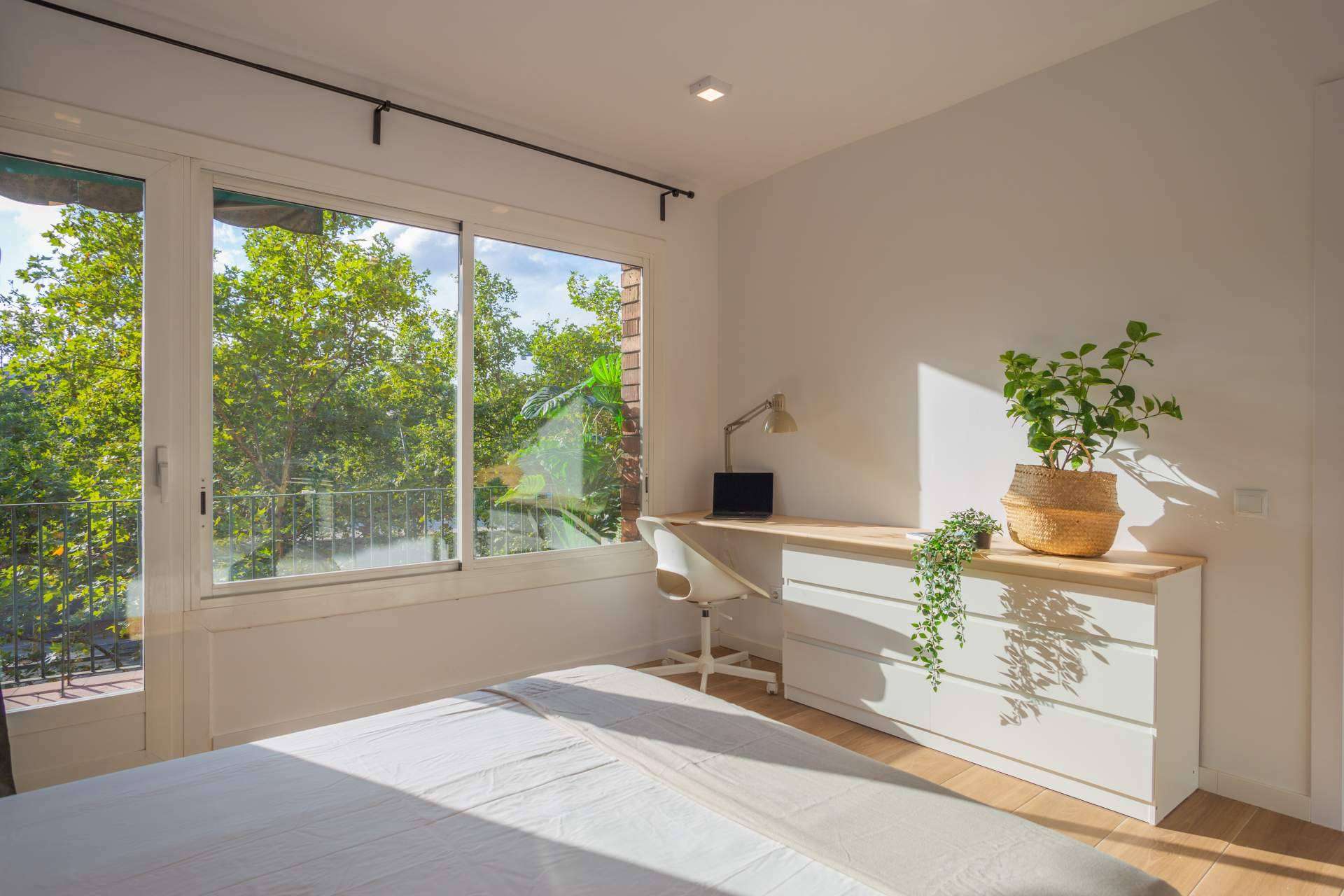 Haaus Coliving actualiza su página web con un innovador sistema de verificación y autofiltraje de usuarios