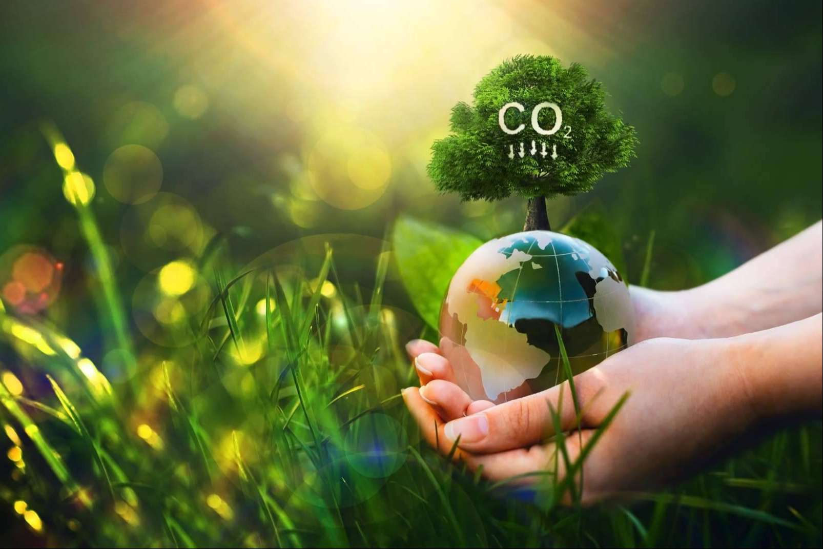 Ingade, una consultoría estratégica para reducir la huella de carbono en las empresas