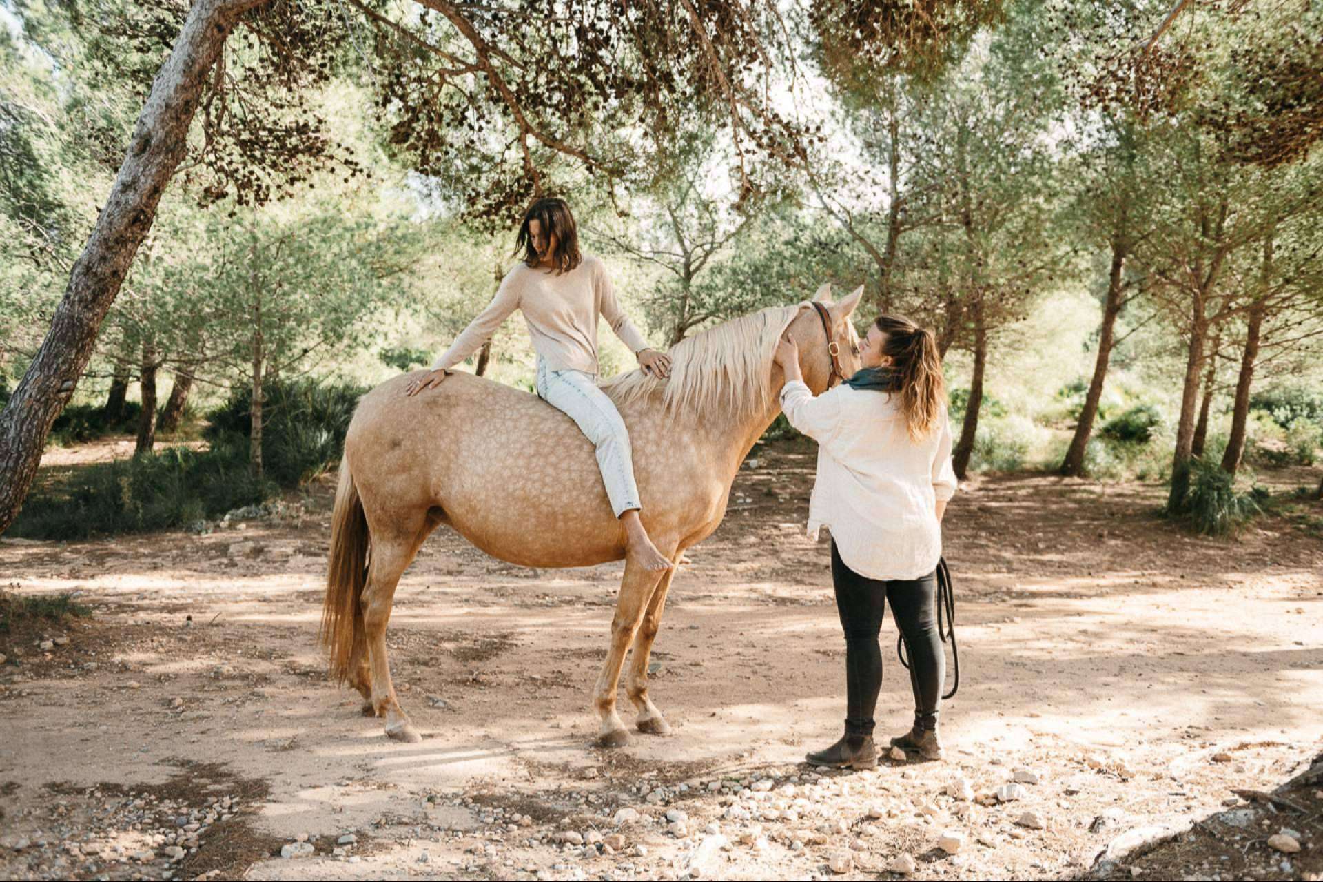 Coaching asistido de caballos para personas individuales de la mano de Son Cavalls