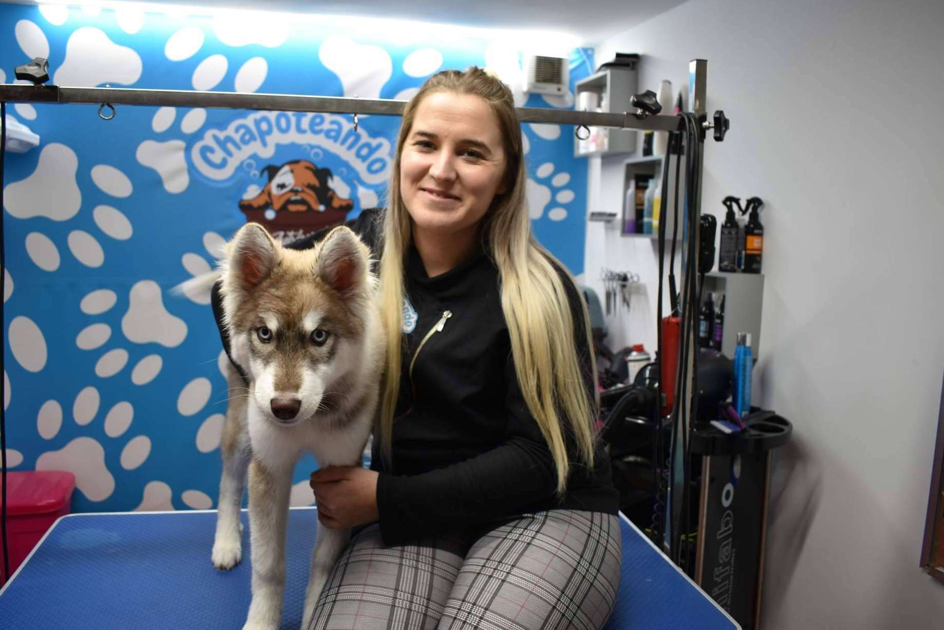 Chapoteando, el servicio de autolavado para mascotas de moda