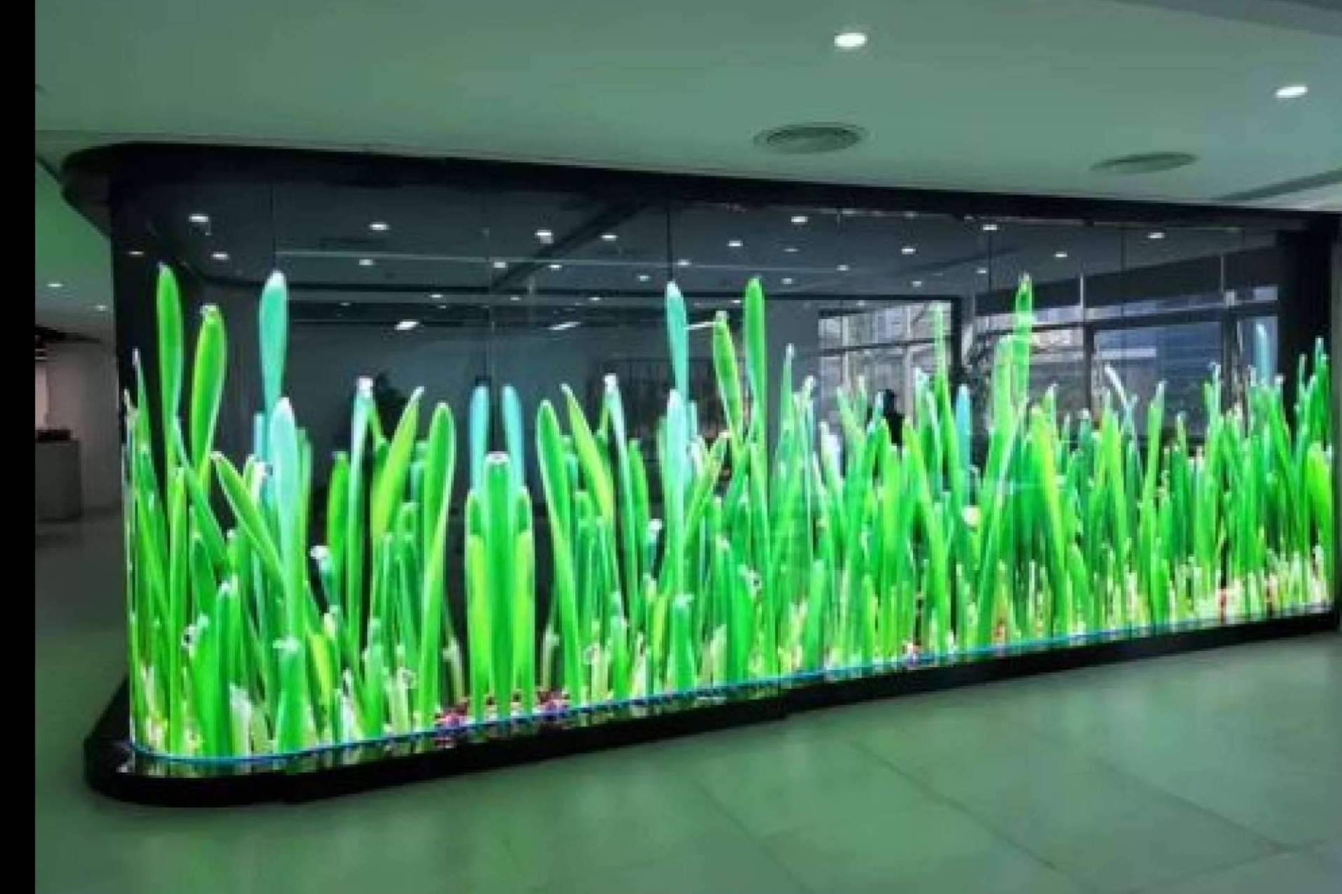 New Tech Store ofrece soluciones innovadoras para hologramas y señalización digital