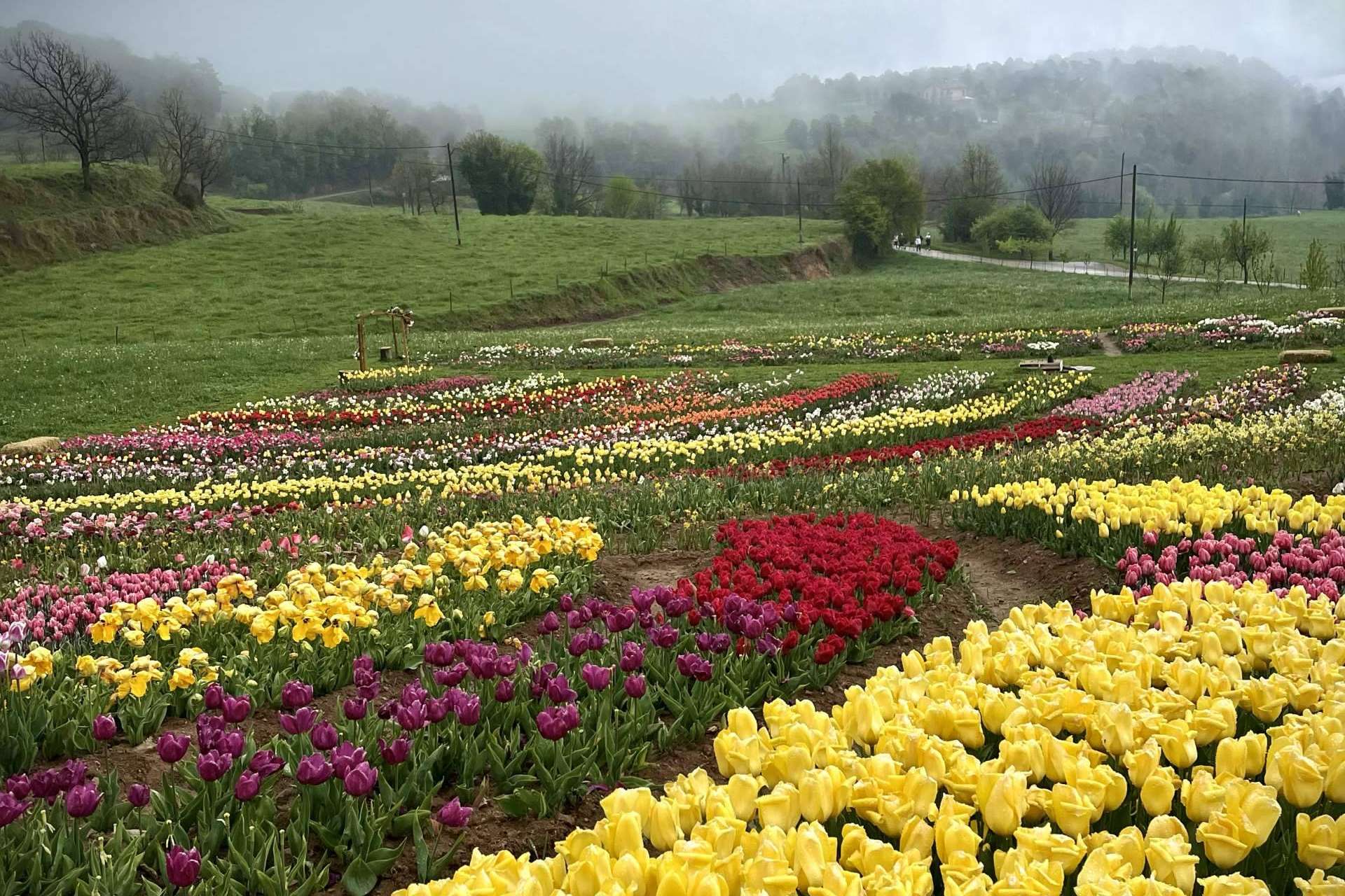 Niudàlia es un refugio ideal para los amantes de la naturaleza y las flores