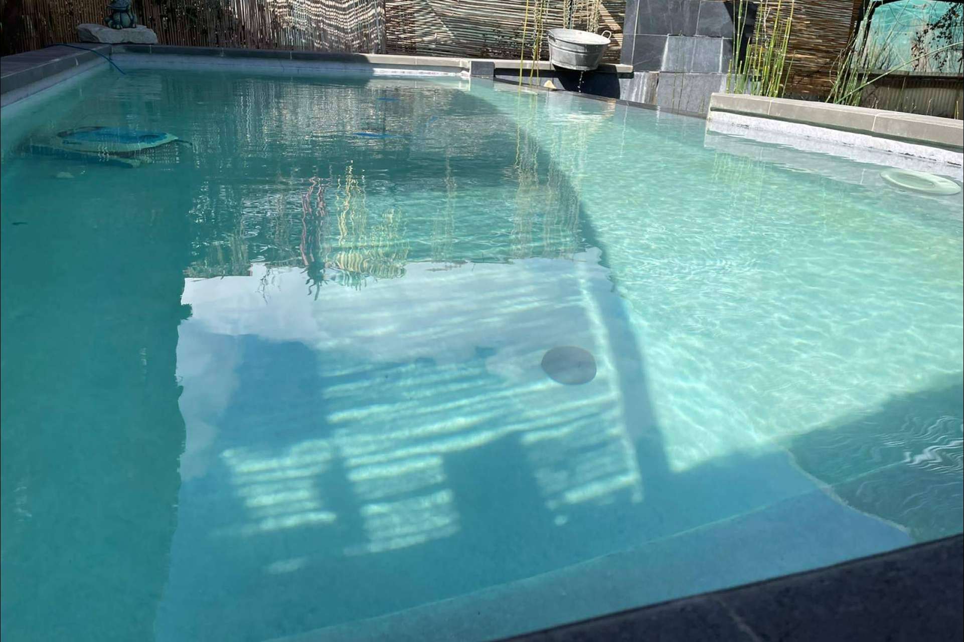¿Dónde encontrar un aliado en tiempos de sequía? Pool Tiger