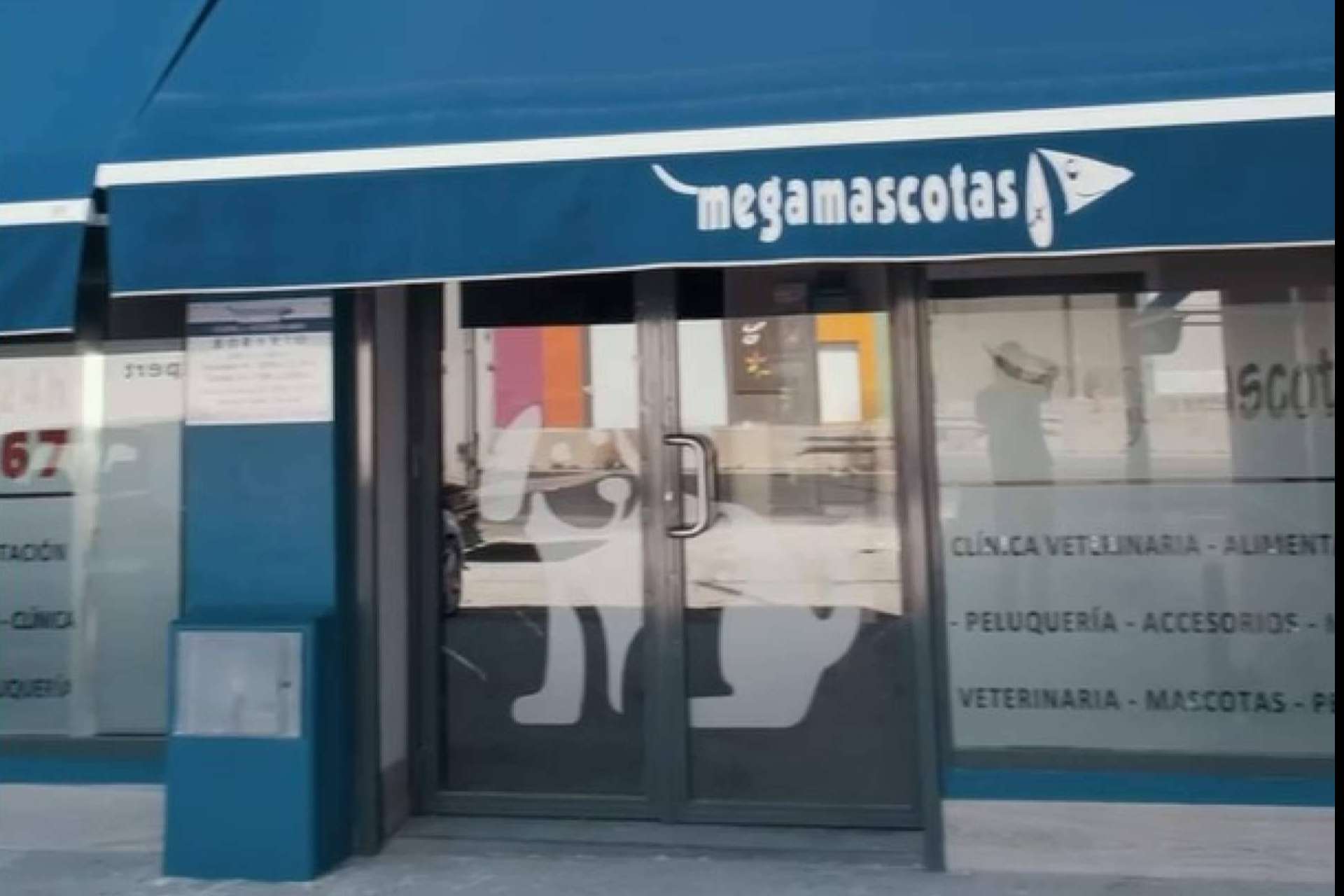 Megamascotas, urgencias 24h para las mascotas en la Región de Murcia